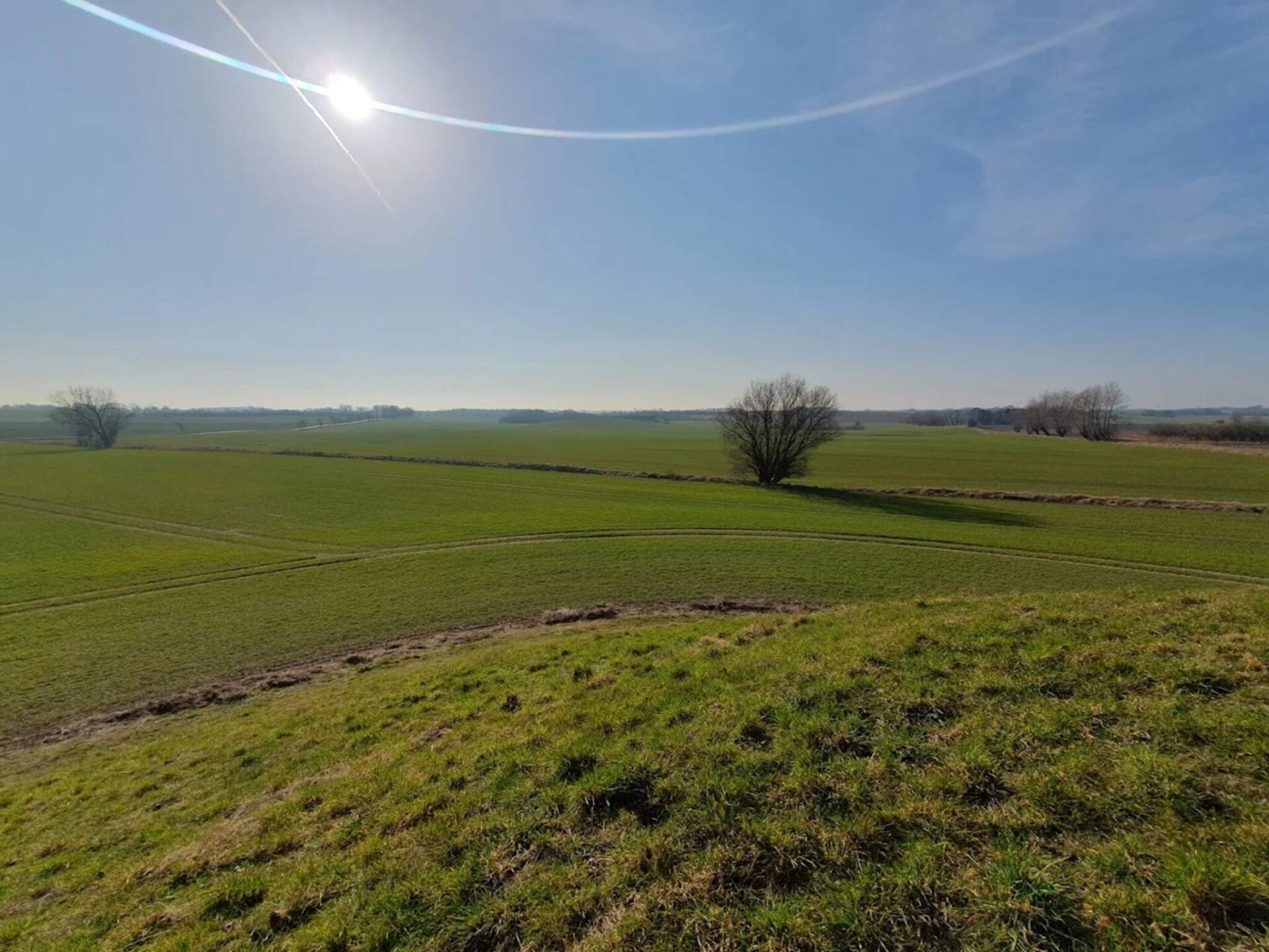Vrijstaand vakantiehuis aan het water met panoramisch uitzicht op Funen - foto 9