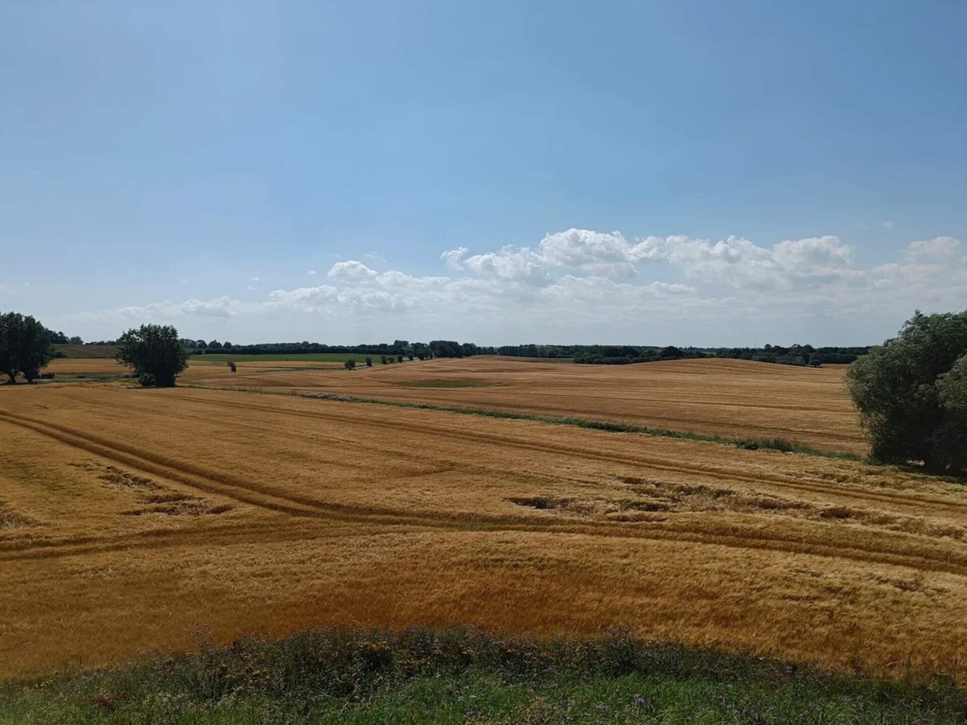 Vrijstaand vakantiehuis aan het water met panoramisch uitzicht op Funen - foto 10