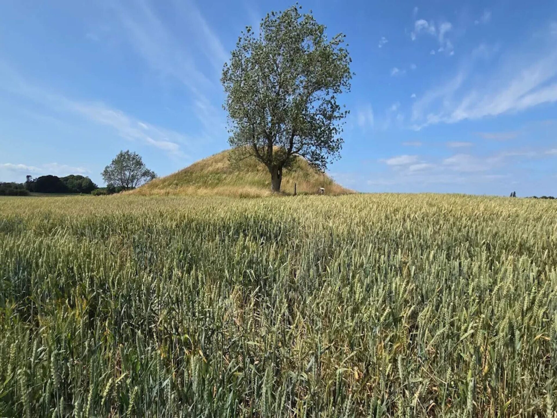 Vrijstaand vakantiehuis aan het water met panoramisch uitzicht op Funen - foto 13