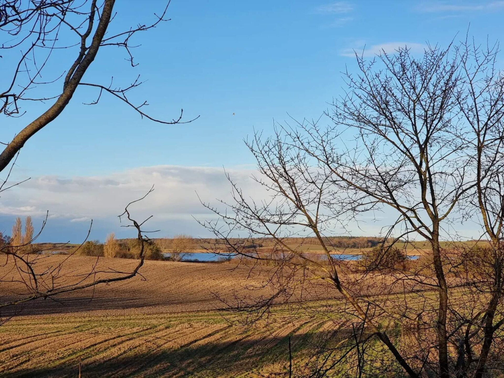 Vrijstaand vakantiehuis aan het water met panoramisch uitzicht op Funen - foto 15