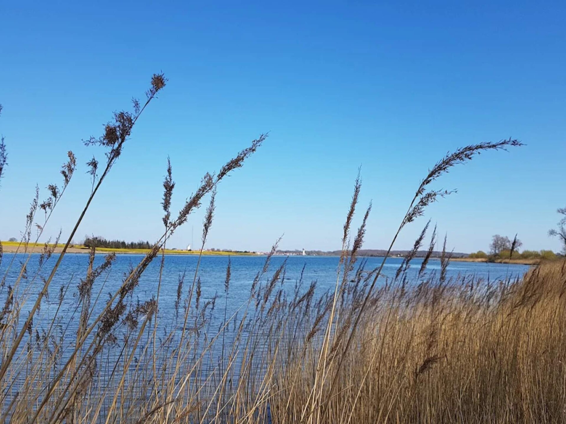 Vrijstaand vakantiehuis aan het water met panoramisch uitzicht op Funen - foto 28