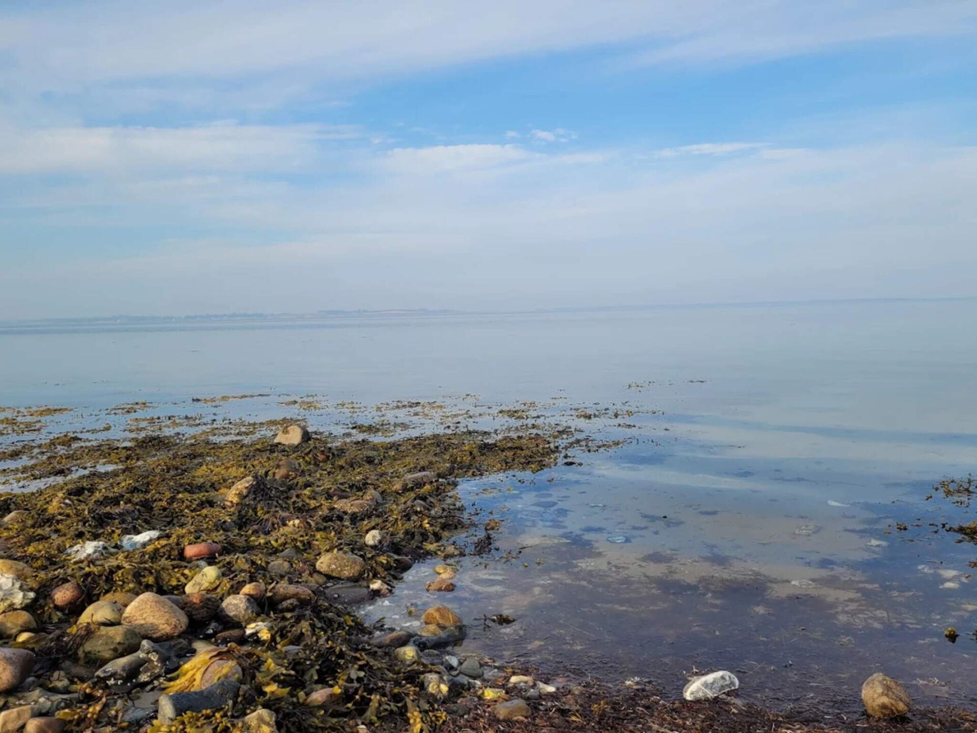 Vrijstaand vakantiehuis aan het water met panoramisch uitzicht op Funen - foto 30