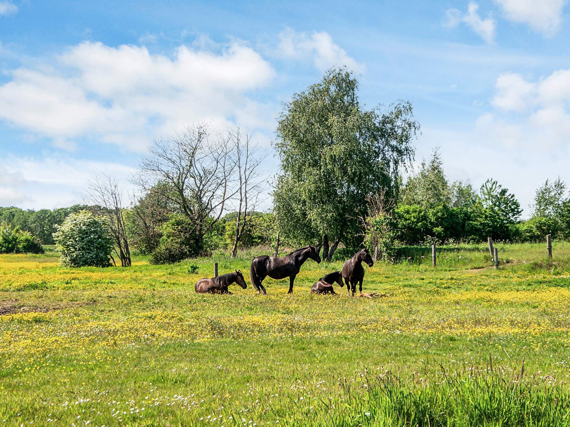 Gerenoveerd vakwerkhuis met grote tuin op 800 meter van het strand - foto 42