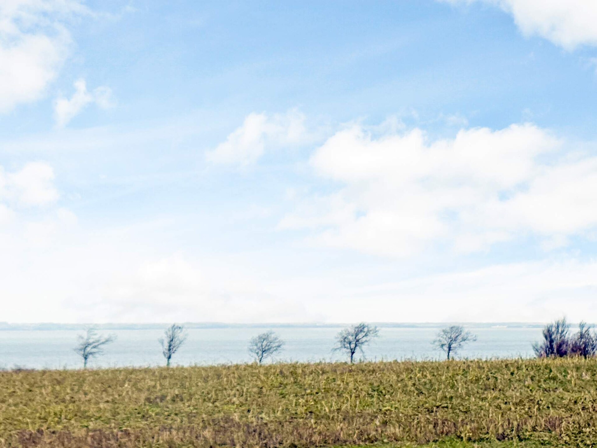 Landhuis bij Roslev met panoramisch zeezicht, dicht bij het strand - foto 5