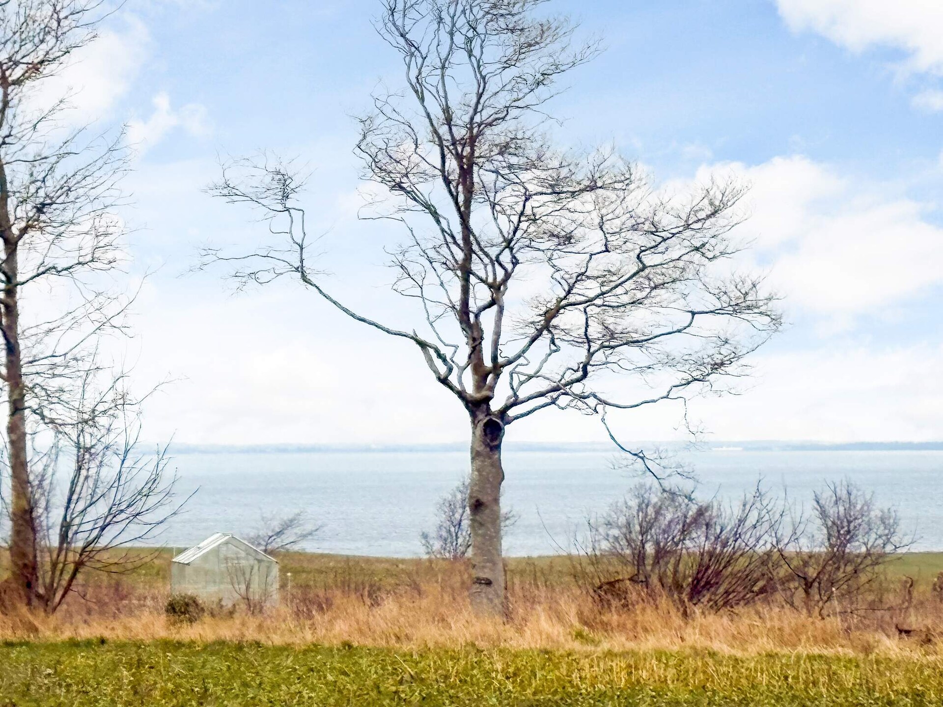 Landhuis bij Roslev met panoramisch zeezicht, dicht bij het strand - foto 7