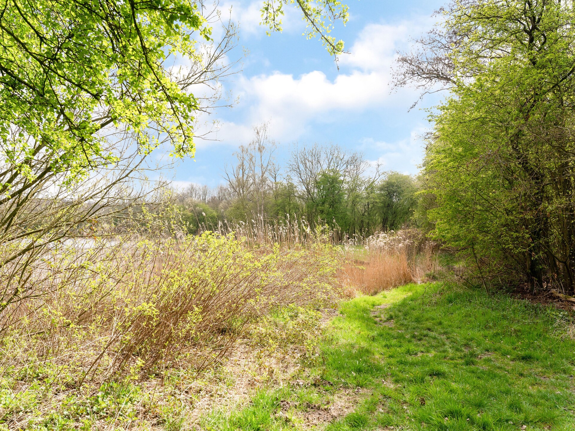 Vrijstaand vakantiehuis met tuin aan de golfbaan in Elim, Drenthe - foto 25