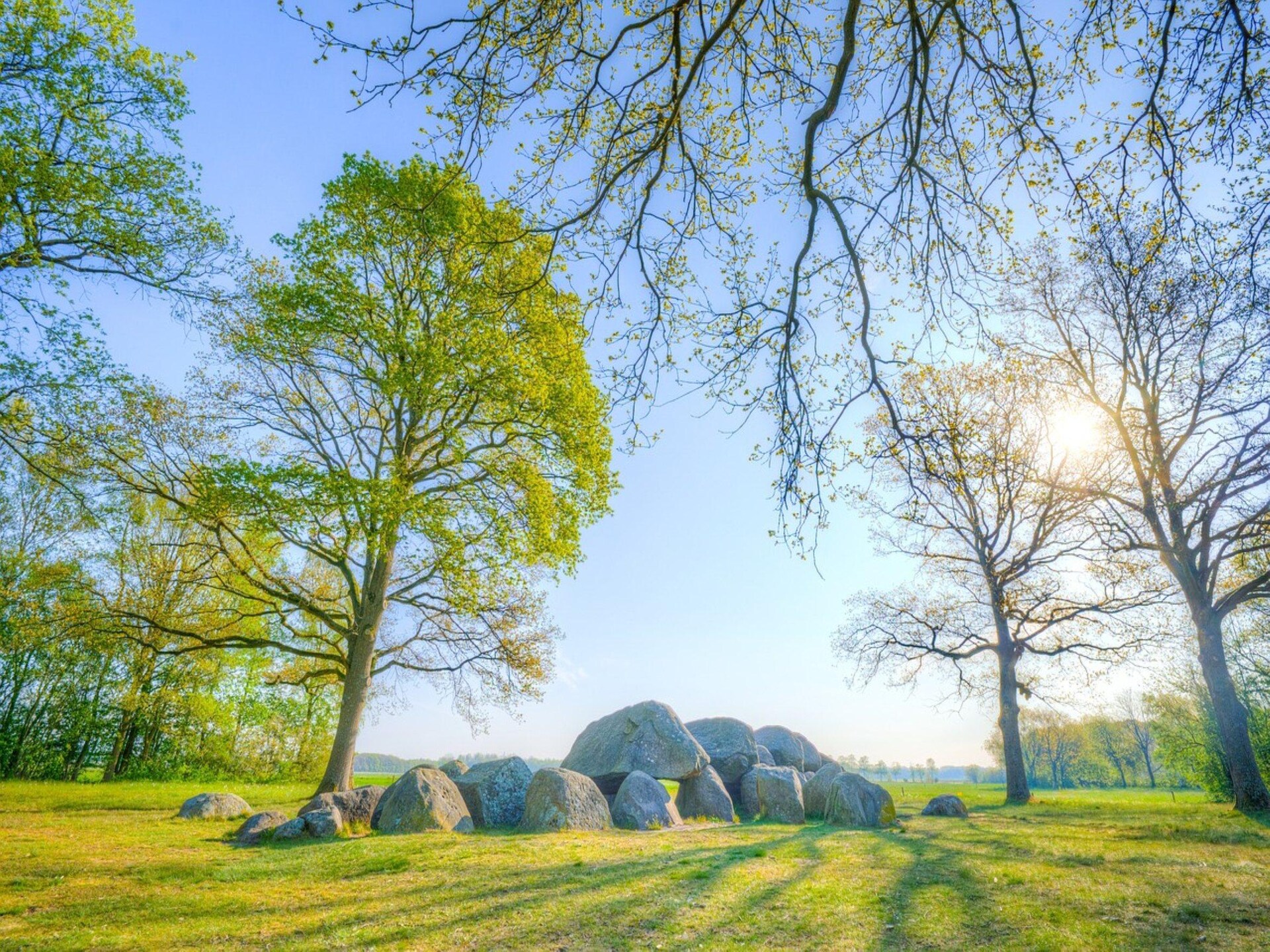 Vrijstaand vakantiehuis met tuin aan de golfbaan in Elim, Drenthe - foto 28