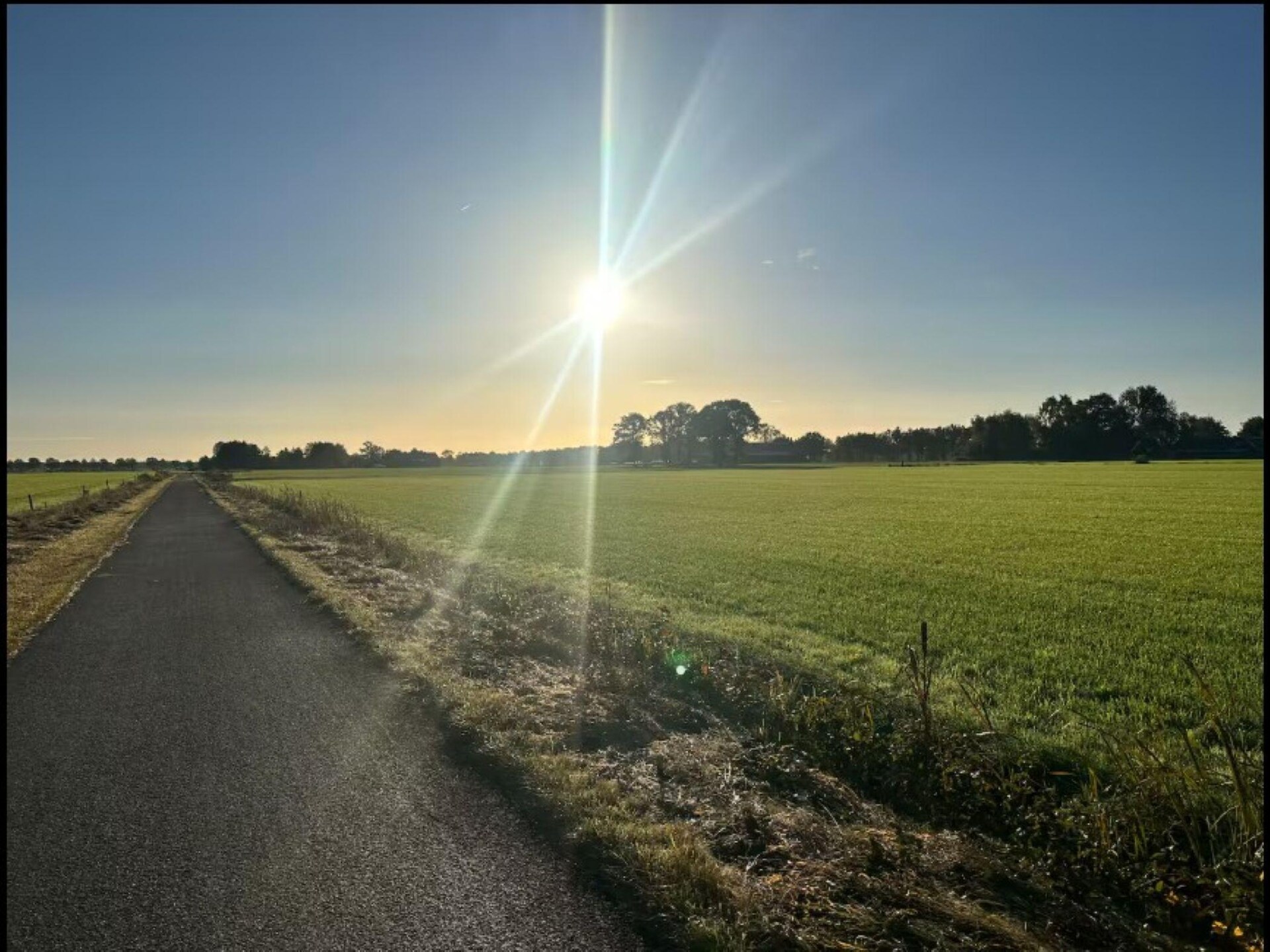 Vrijstaand vakantiehuis met tuin aan de golfbaan in Elim, Drenthe - foto 35