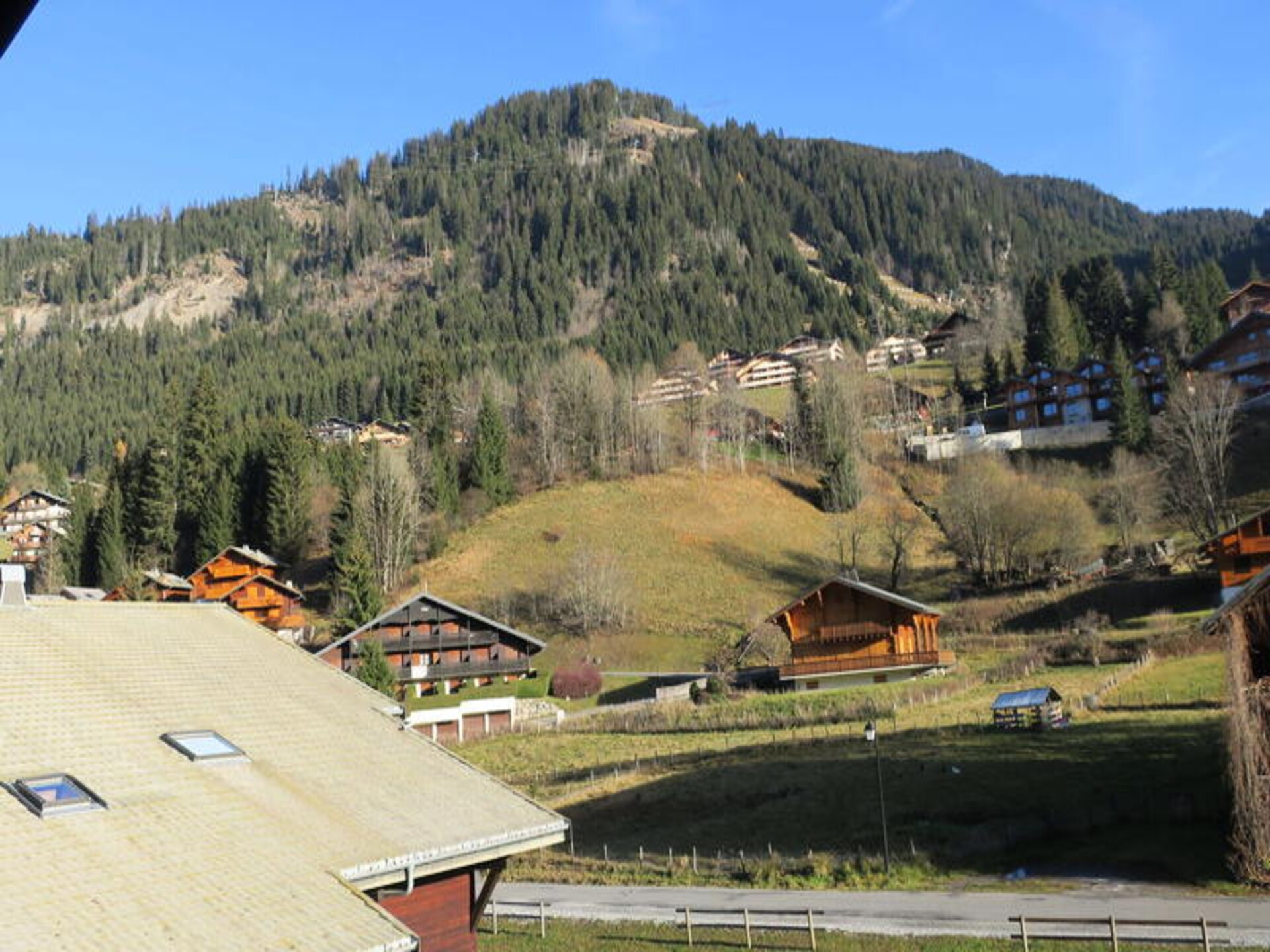 Licht 3-kamerappartement in Châtel, 900m van het centrum, 6p - foto 22