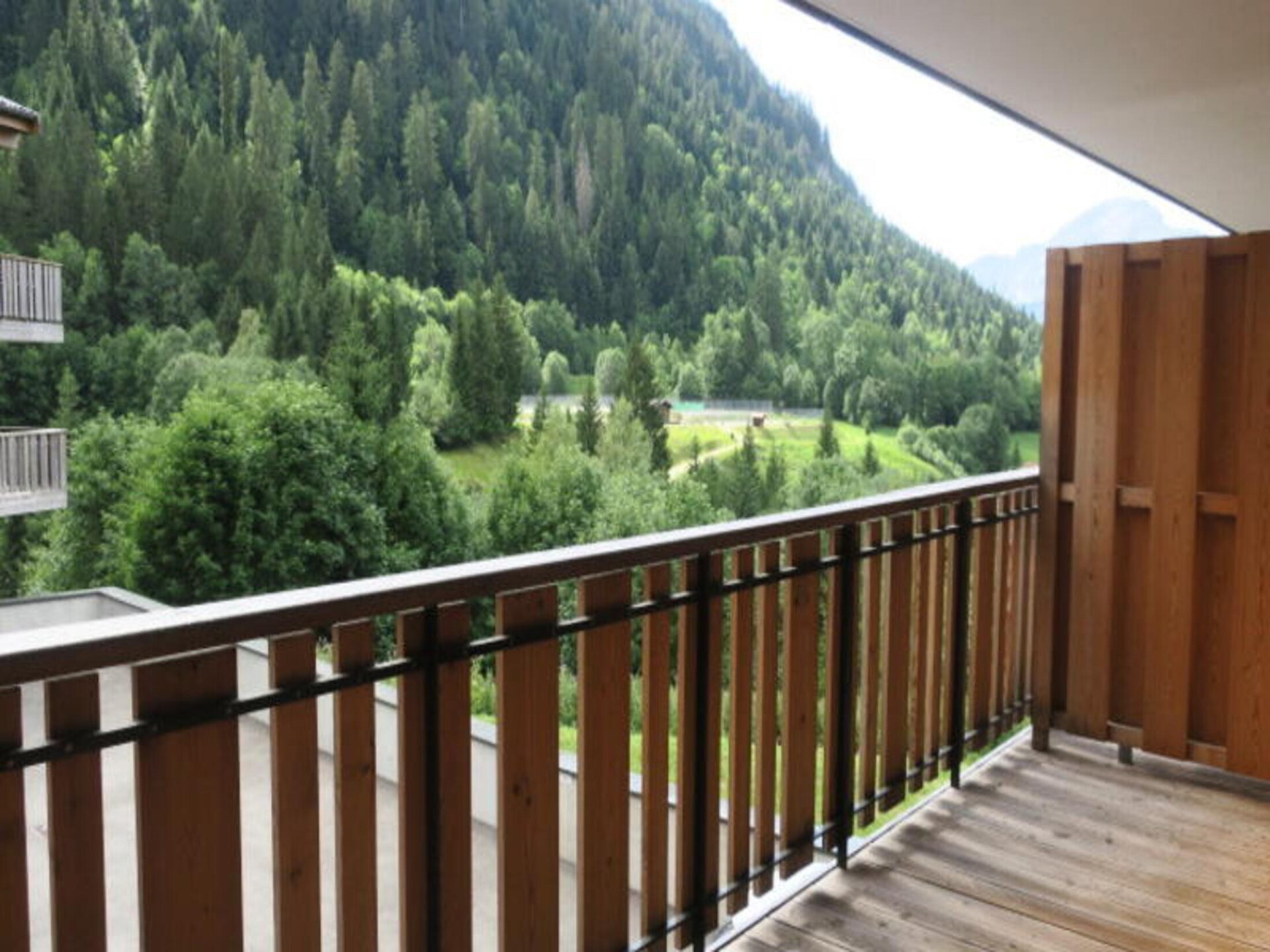 Luxe appartement in Châtel met ski-in/ski-out via pendelbus - foto 21