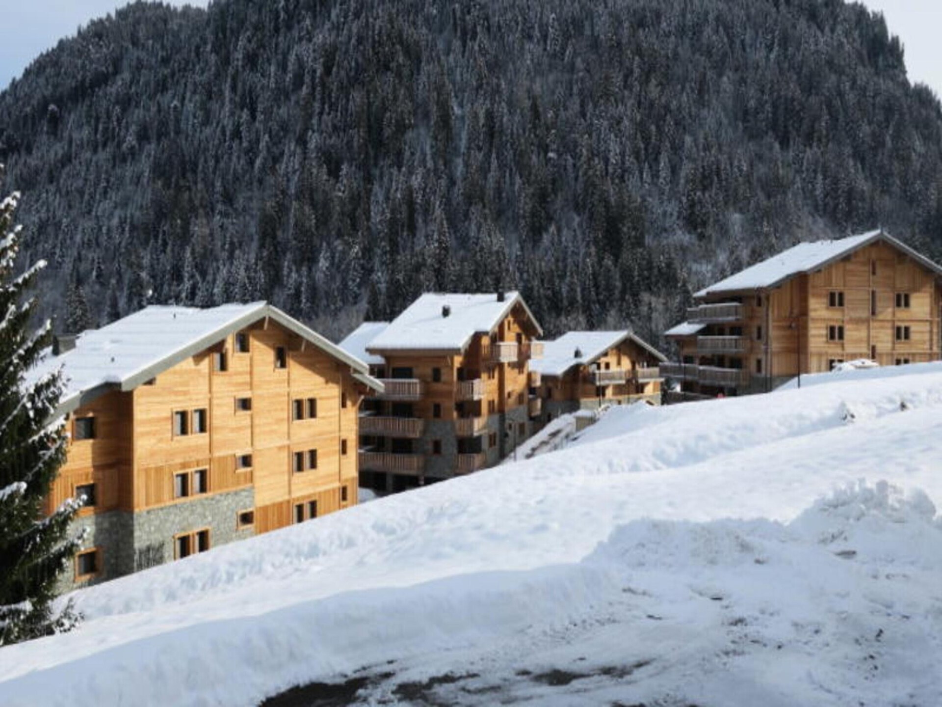 Luxe appartement in Châtel met ski-in/ski-out via pendelbus - foto 14