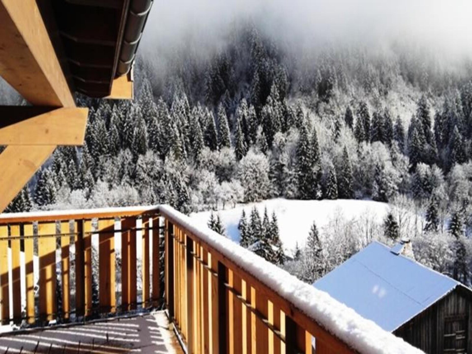 Luxe appartement in Châtel met 3 slaapkamers en skiruimte - foto 16