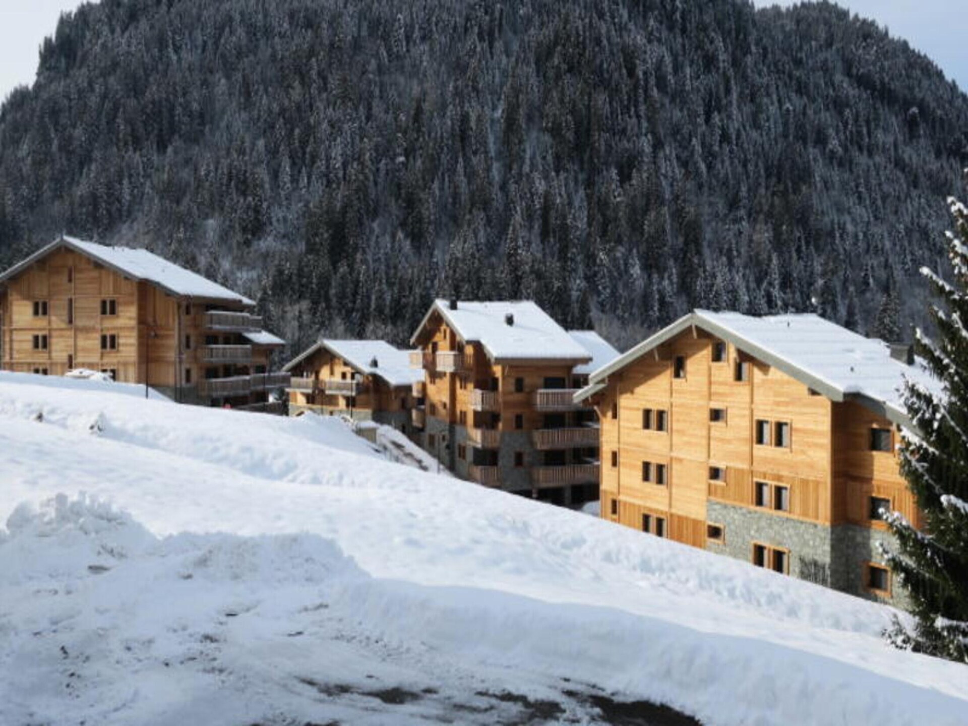Luxe appartement in Châtel met 3 slaapkamers en skiruimte - foto 18