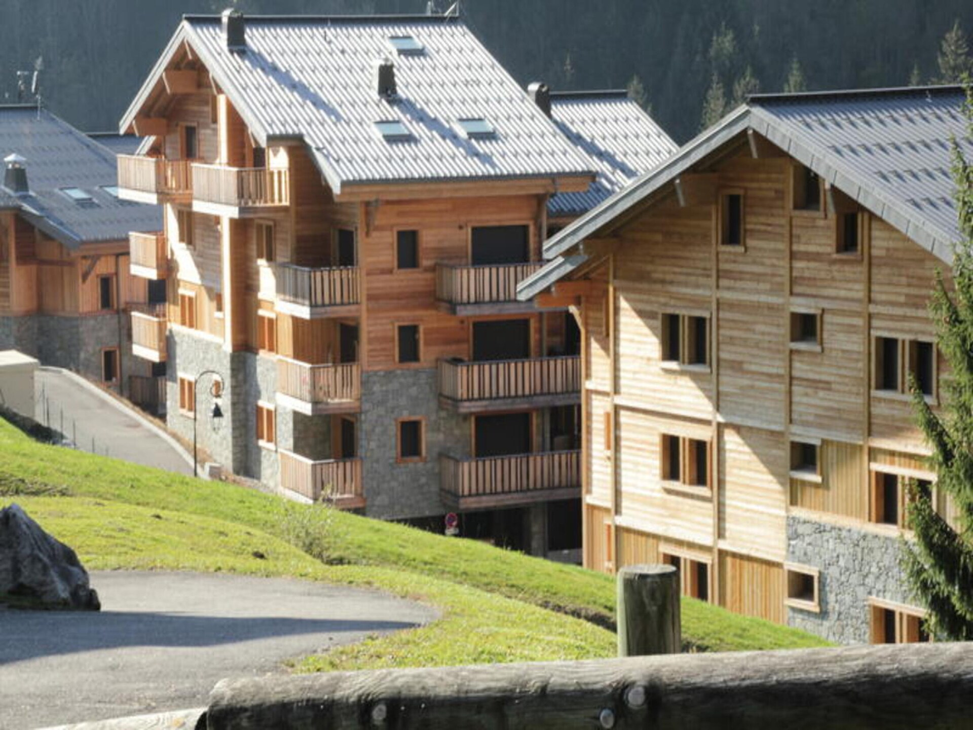 Luxe appartement in Châtel met 3 slaapkamers en skiruimte - foto 17