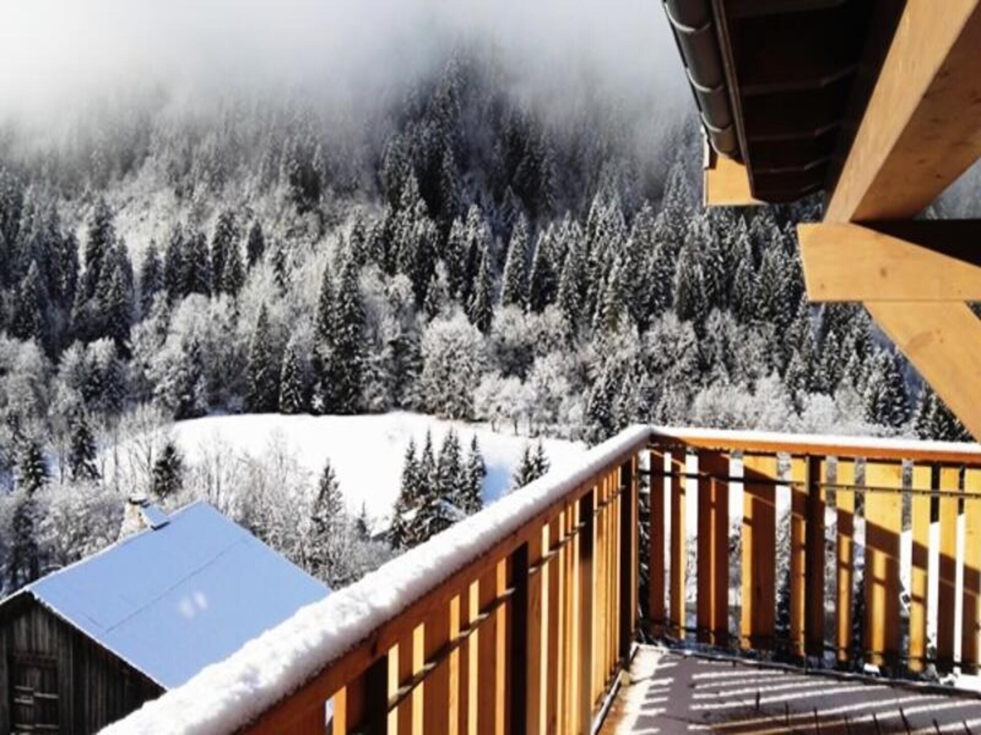Luxe appartement in Châtel met 3 slaapkamers en skiruimte - foto 27