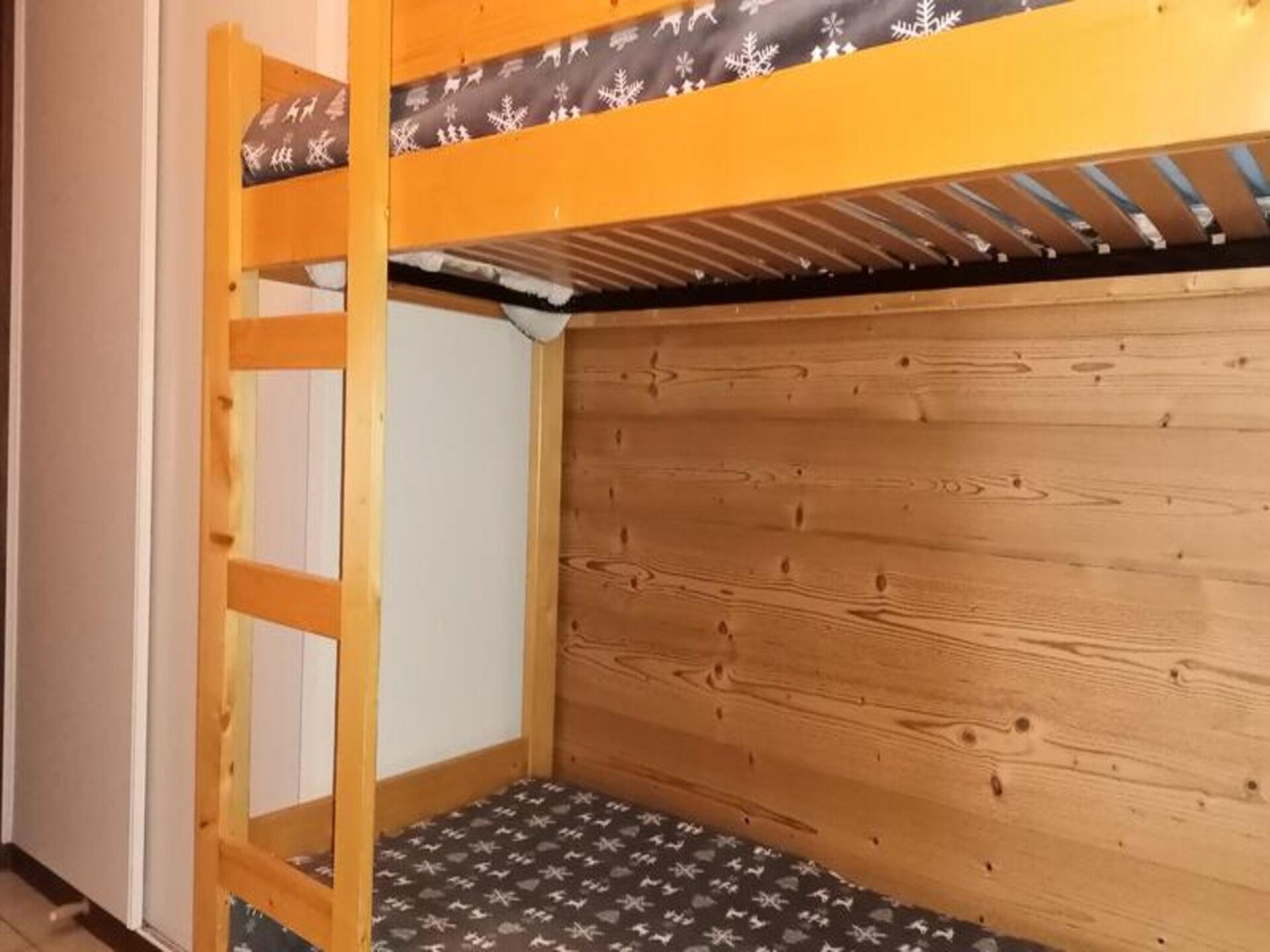 Ruim appartement in Petit Châtel met balkon en uitzicht op de bergen - foto 31