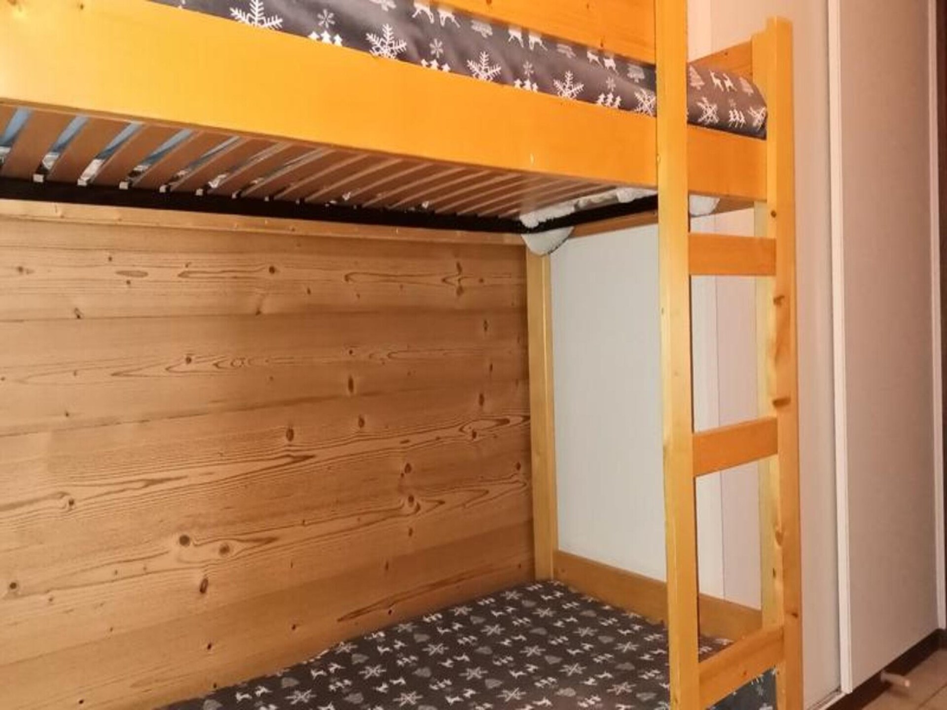 Ruim appartement in Petit Châtel met balkon en uitzicht op de bergen - foto 28