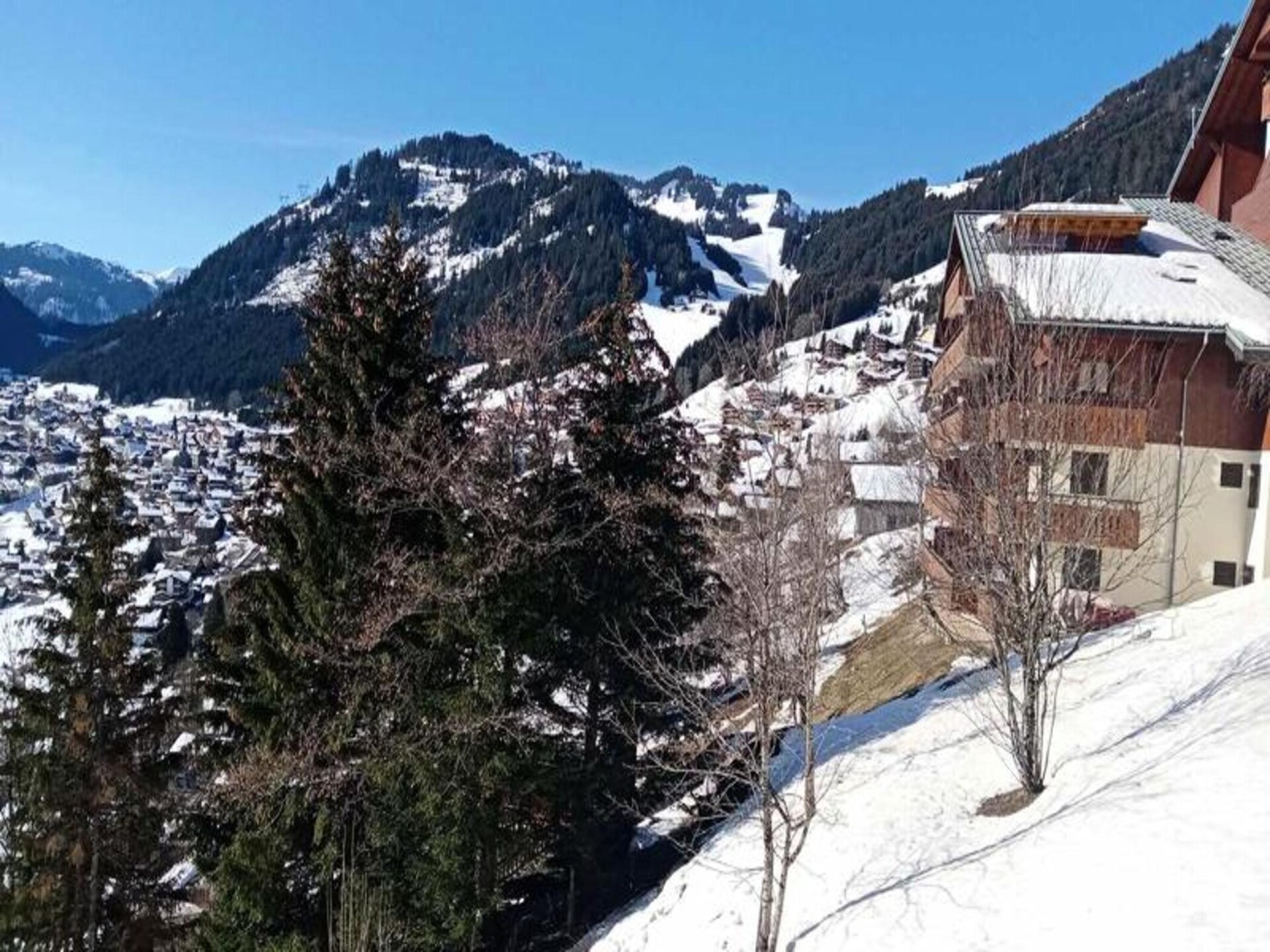 Ruim appartement in Petit Châtel met balkon en uitzicht op de bergen - foto 12