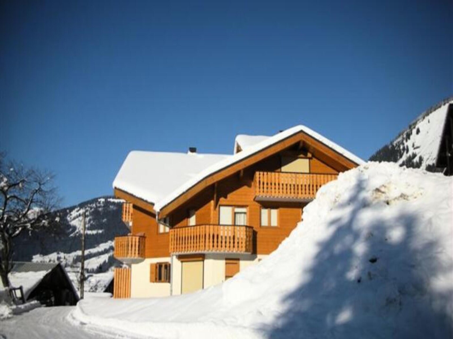 Knus appartement op de begane grond met terras en bergzicht in Châtel - foto 17