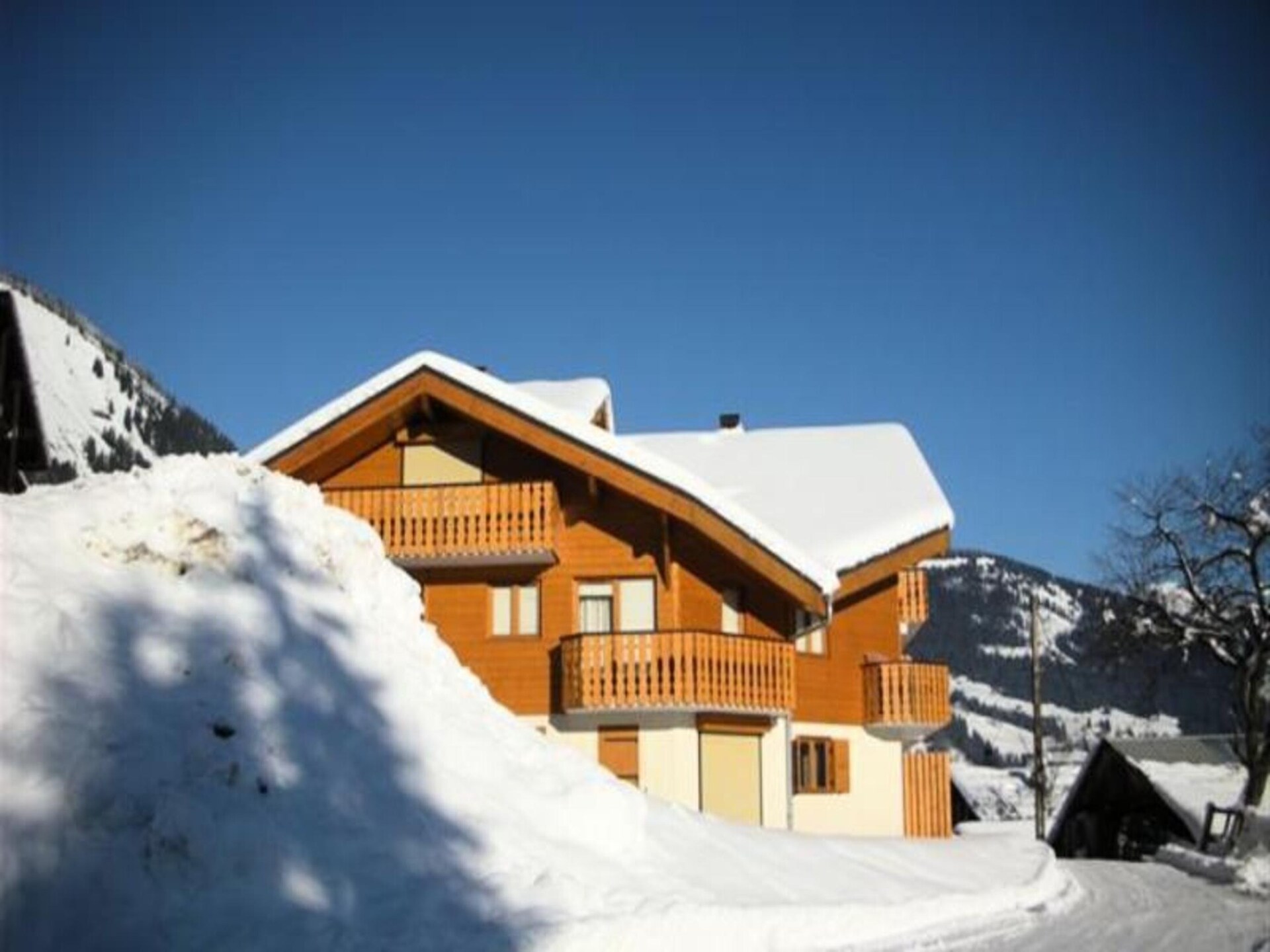 Knus appartement op de begane grond met terras en bergzicht in Châtel - foto 27