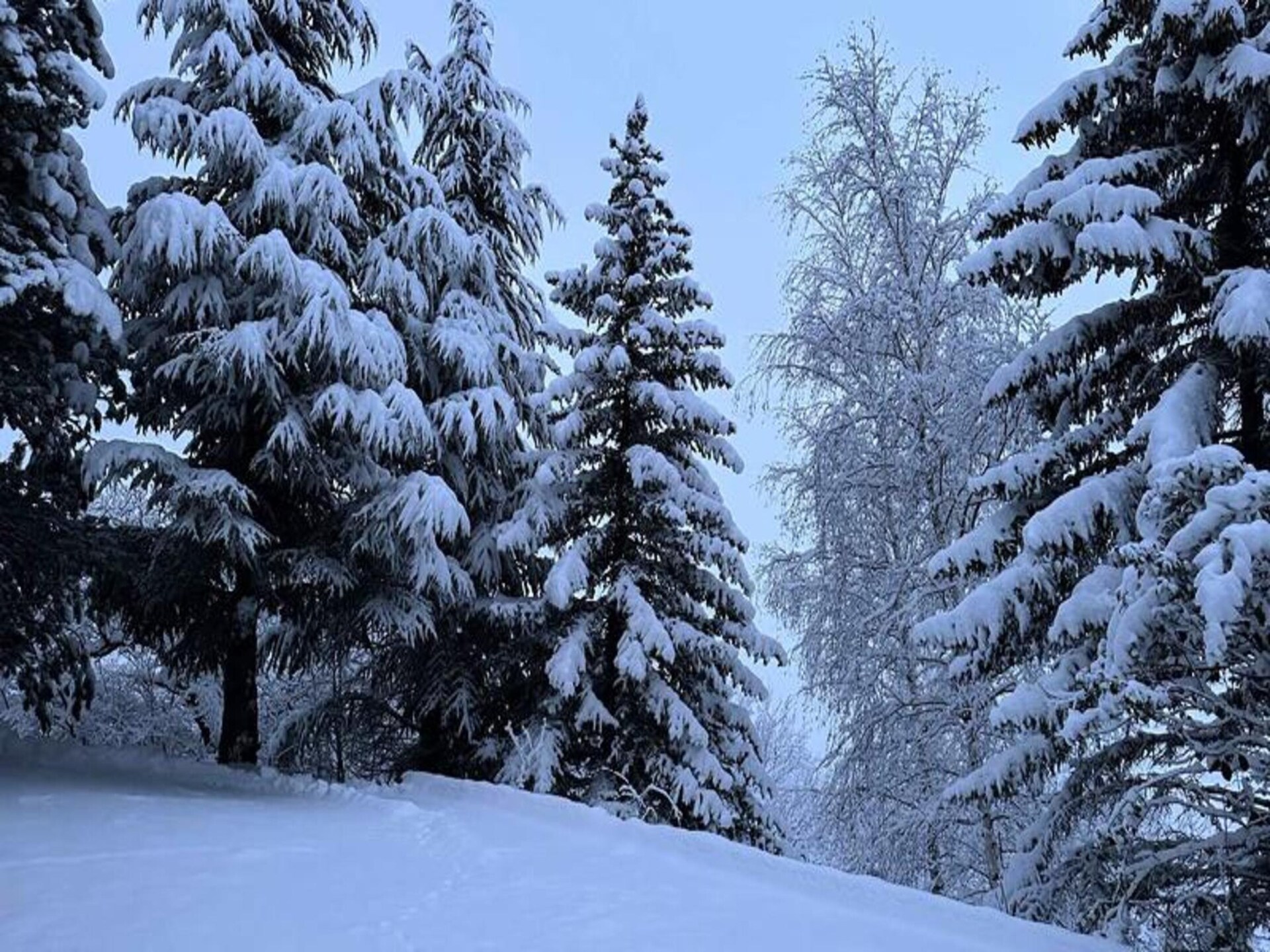 Gezellig appartement in Vars Sainte-Marie, 700m van de pistes - foto 19