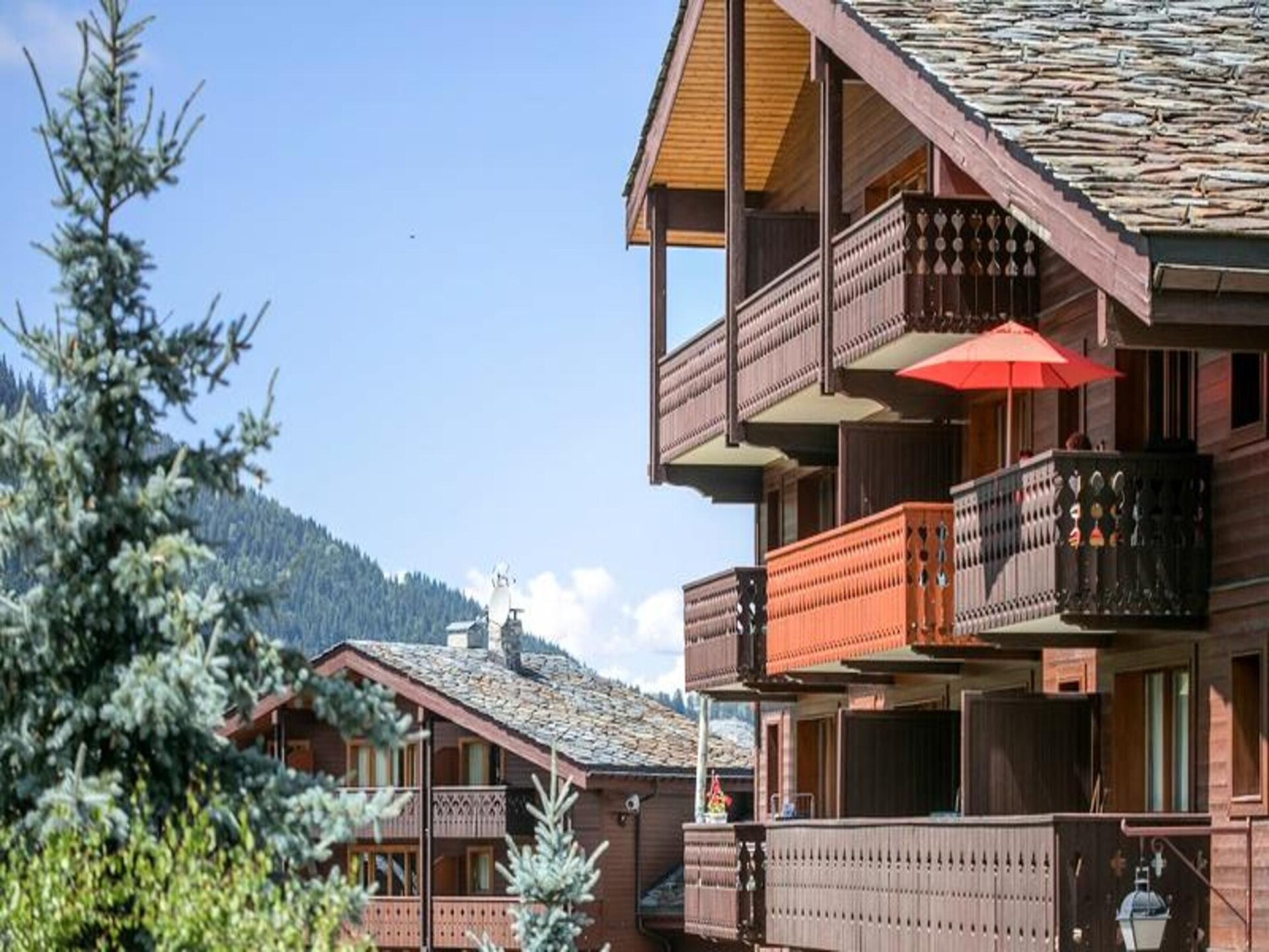 Authentiek appartement in Valmorel, 50m van de piste - foto 14