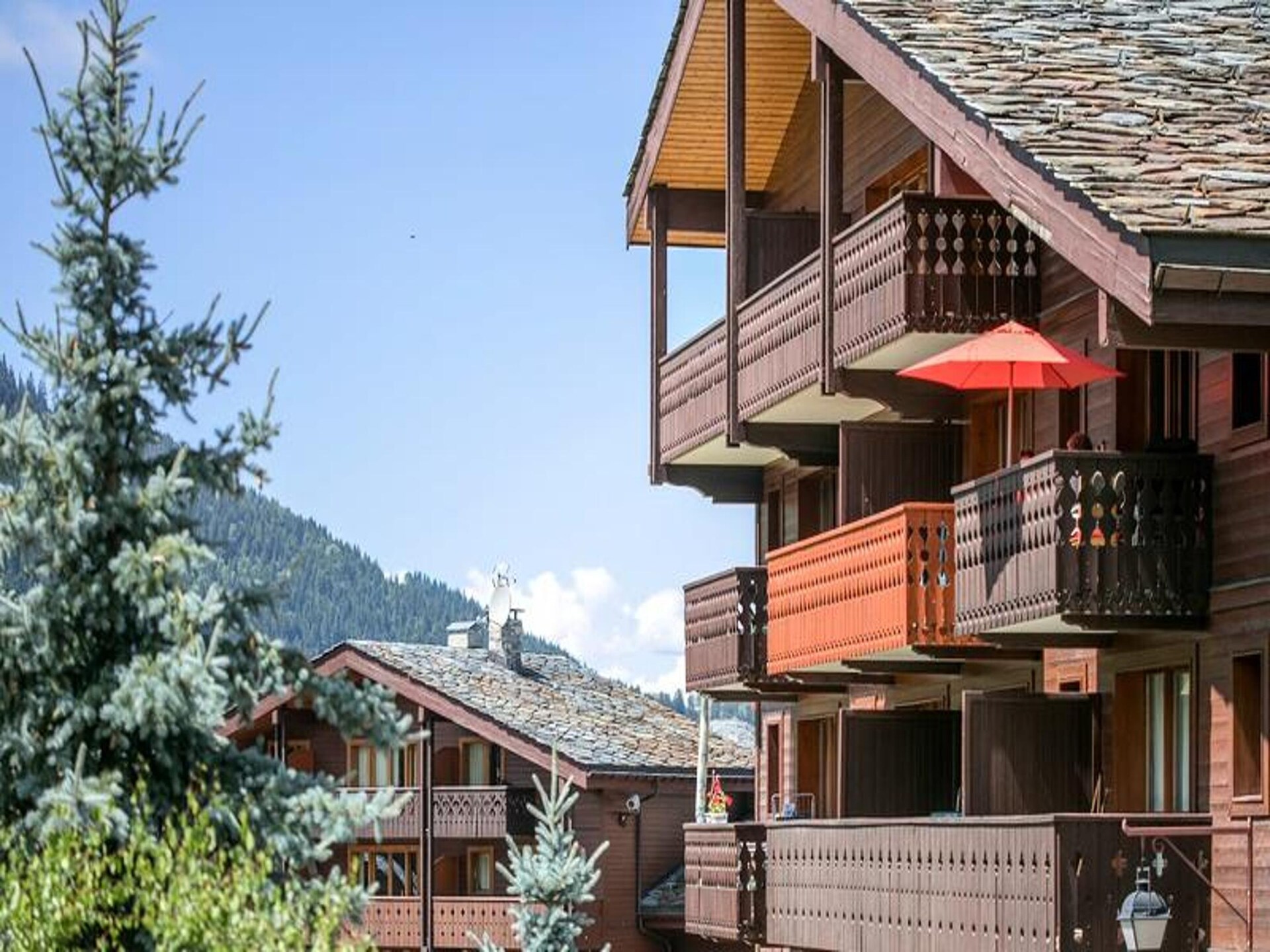 Knus appartement op 3 minuten van de piste in Valmorel - foto 3