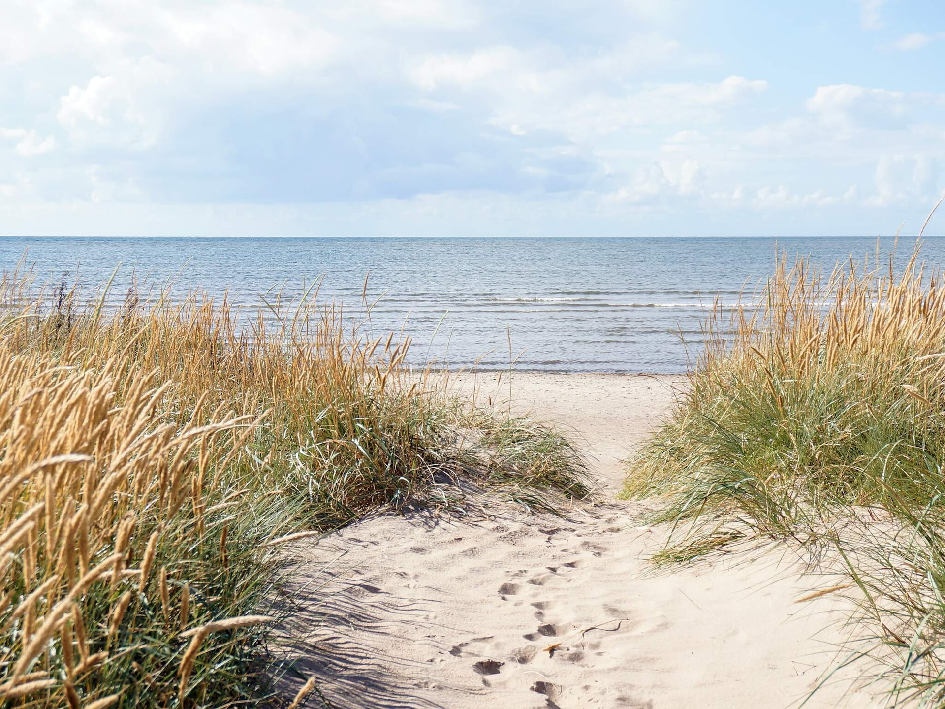 5-persoons vakantiehuis in Falkenberg op 800 m van het meer - foto 16