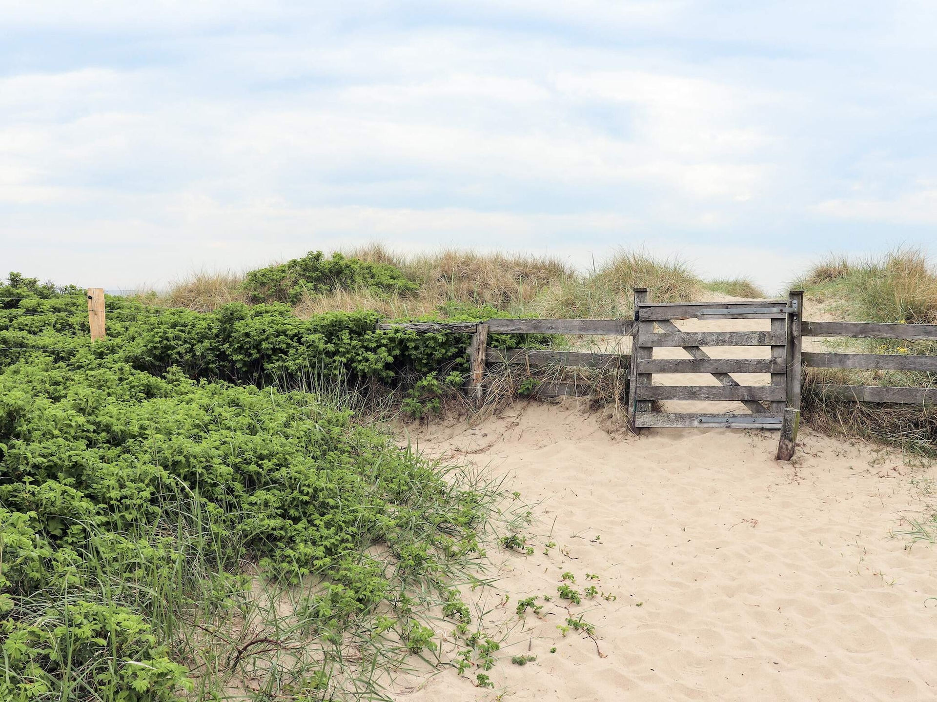 5-persoons vakantiehuis in Falkenberg op 800 m van het meer - foto 17