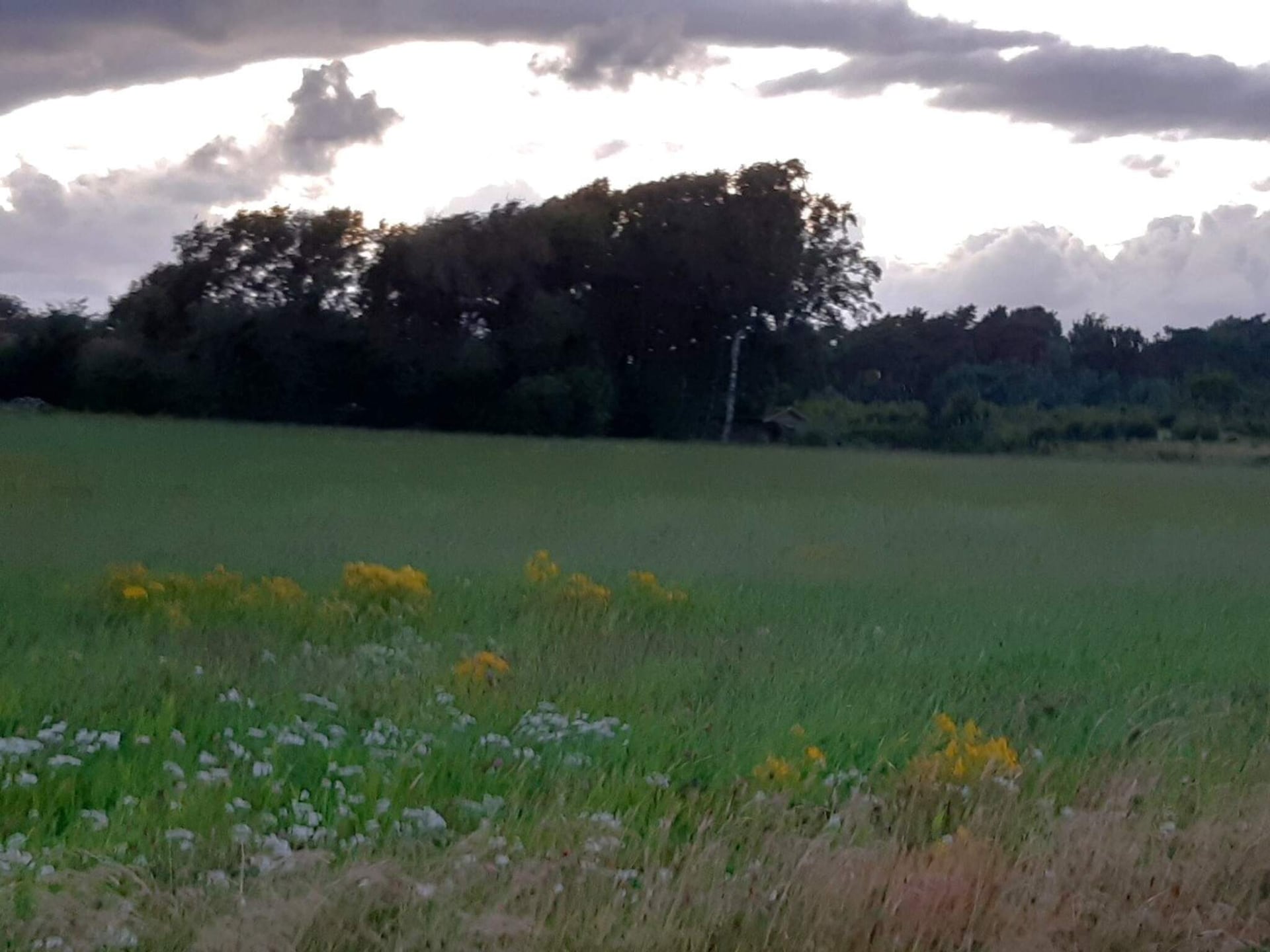 5-persoons vakantiehuis in Falkenberg op 800 m van het meer - foto 20