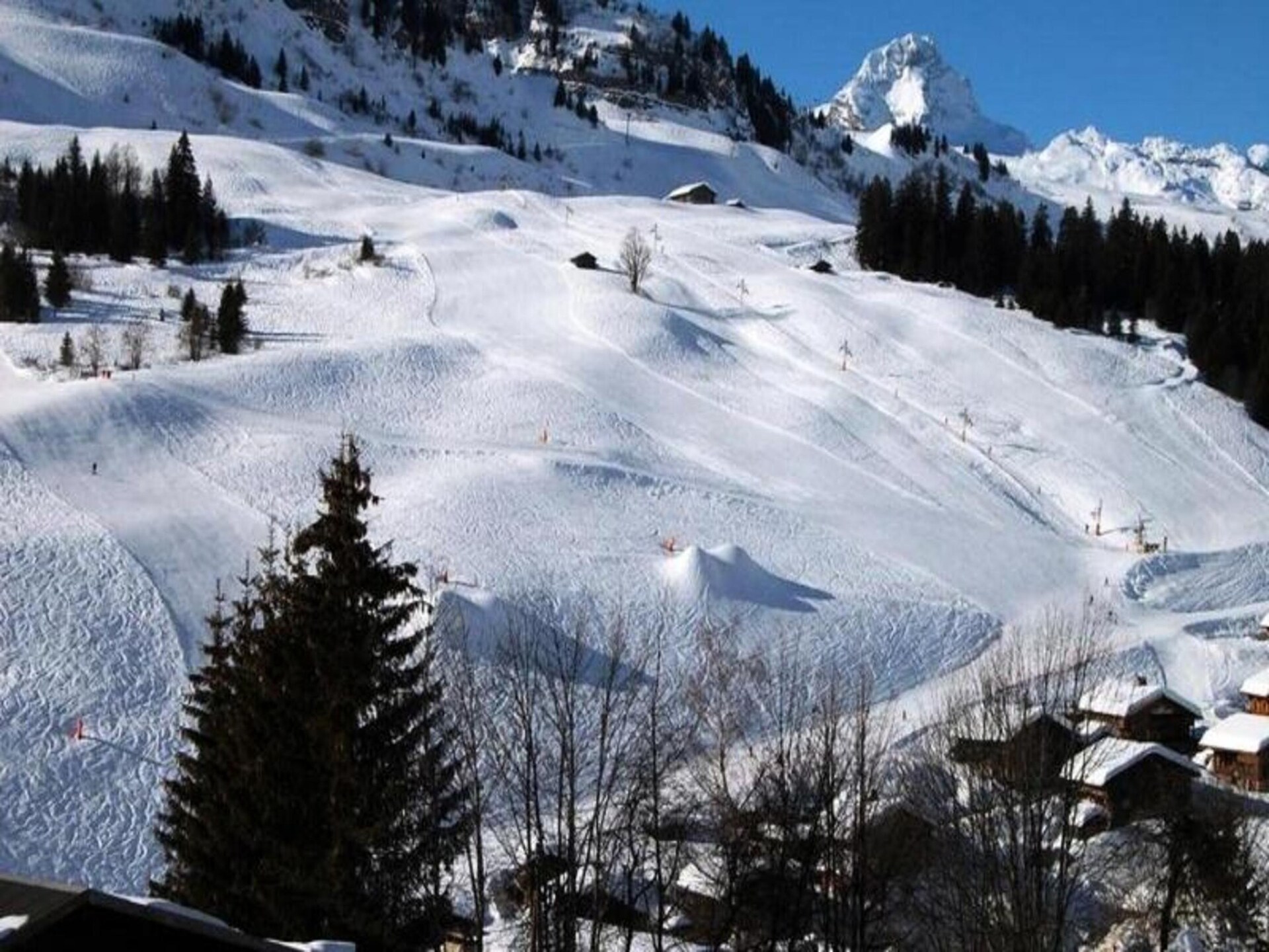 Studio-appartement op de bergflank met uitzicht in Le Grand Bornand - foto 20