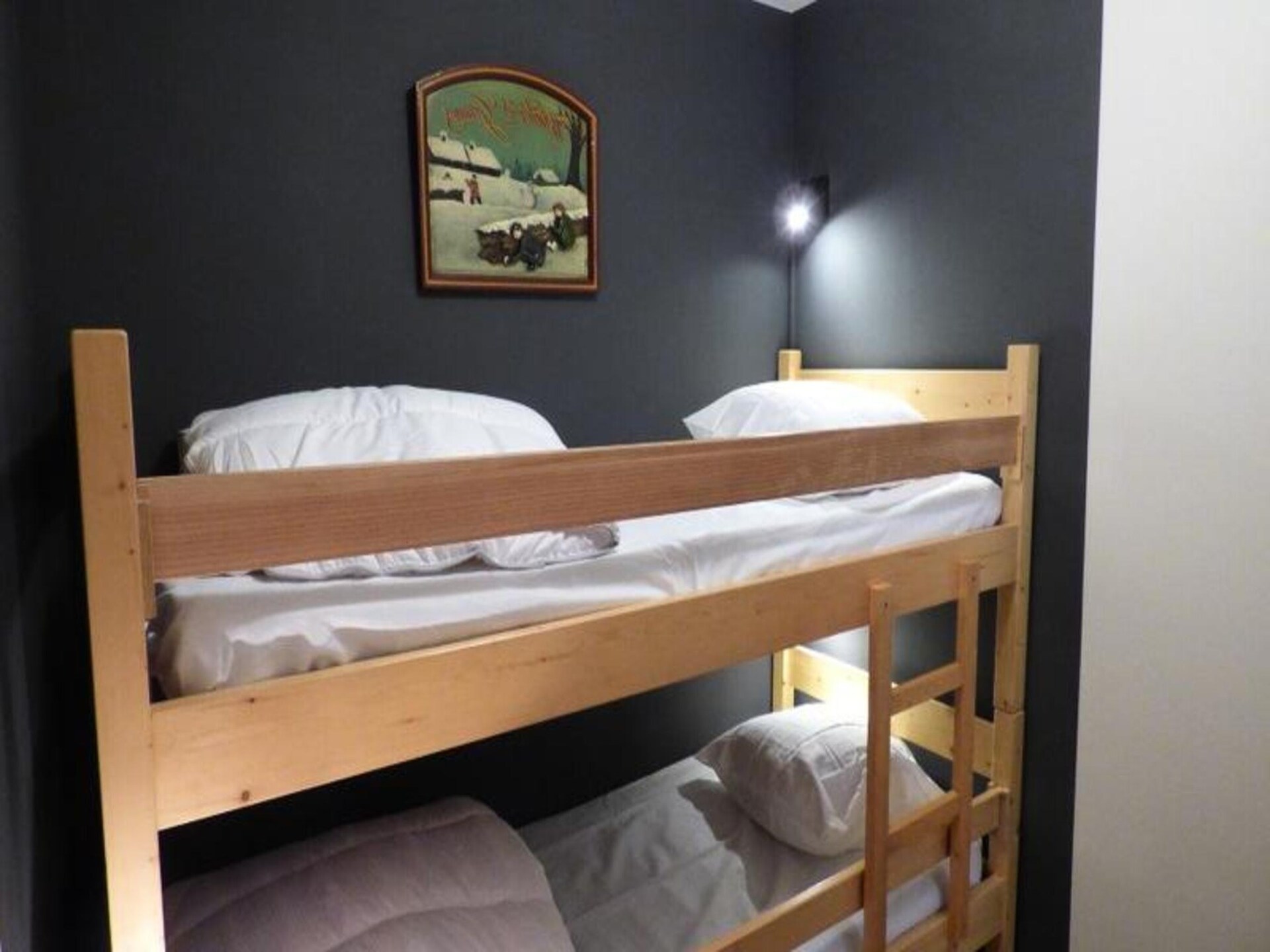 Authentiek appartement in Chinaillon met uitzicht op de pistes - foto 9