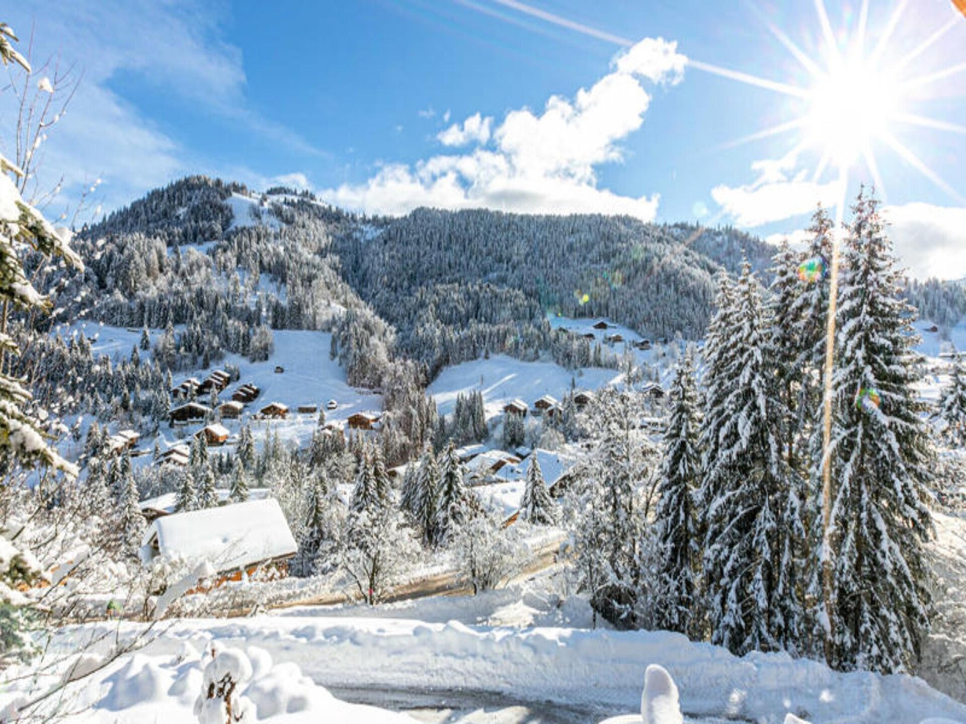 Ruim chalet voor 13 personen met sauna en terras nabij de pistes in La Clusaz - foto 11
