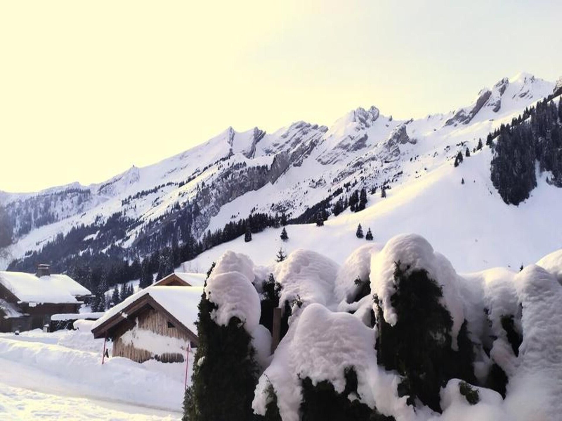 Chalet Gord: knus appartement aan de langlaufloipes op het Plateau des Confins - foto 14