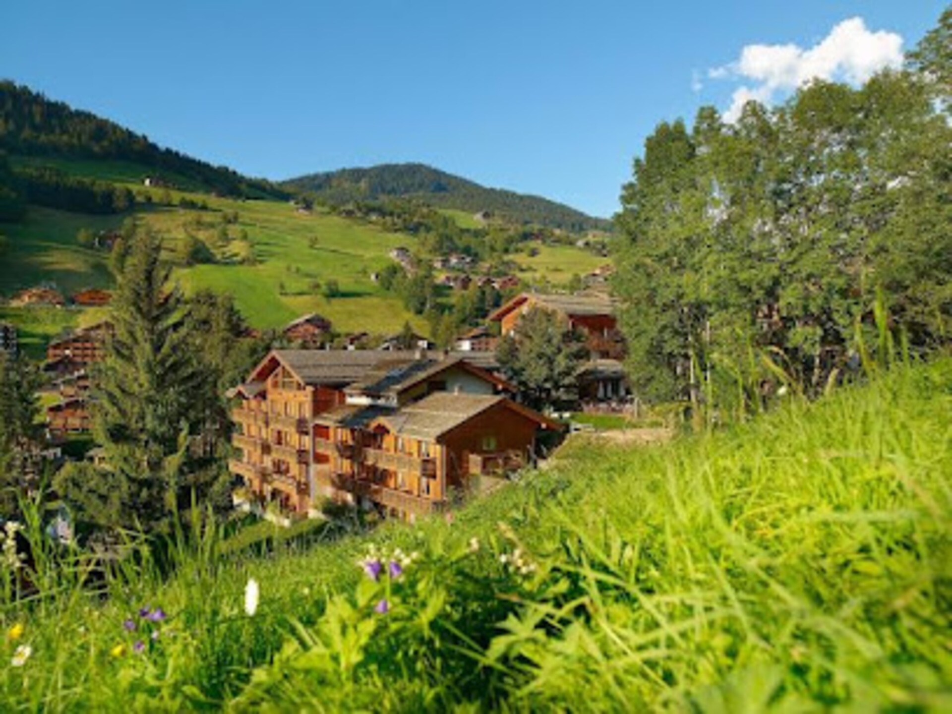 Gezellige studio in La Clusaz, 400m van de piste en dichtbij het centrum - foto 9