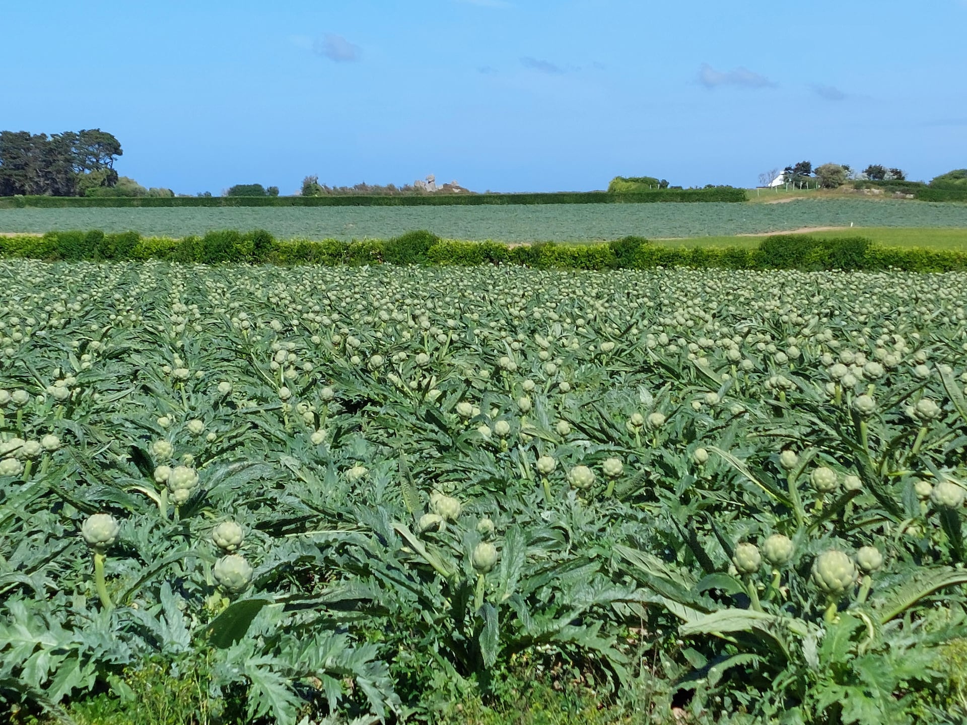 6-persoons vakantiehuis in Cléder met panoramisch uitzicht - foto 22