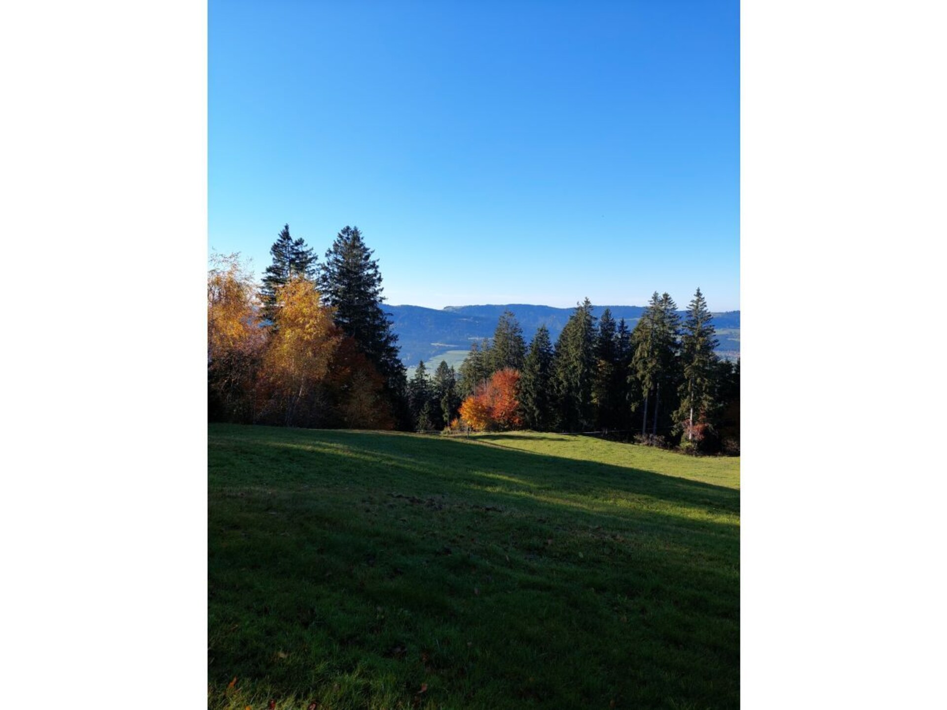 Panorama-appartement in Sulzberg, 200 meter van de skilift - foto 32