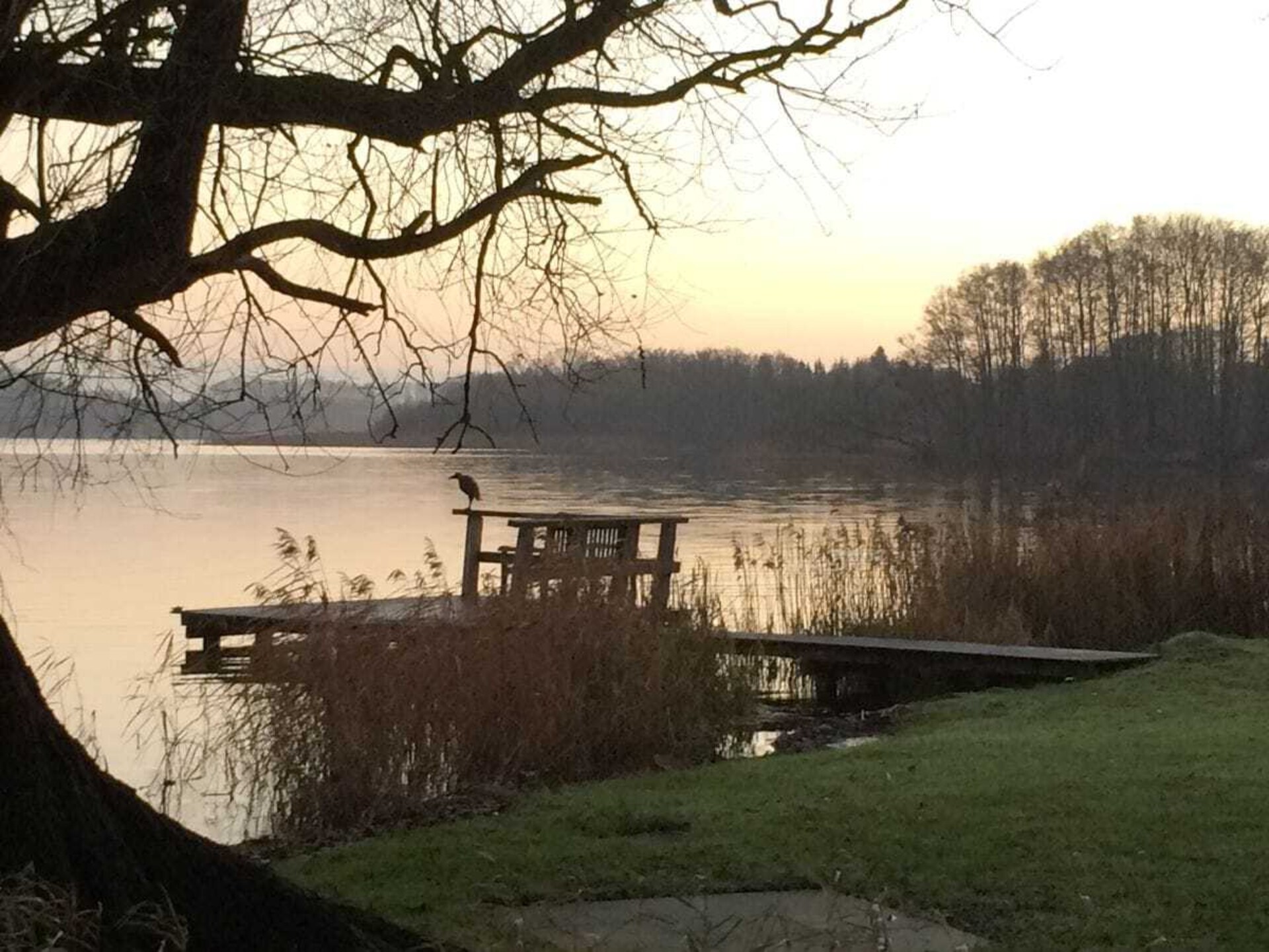 Vakantiehuis MaRi in Timmdorf: direct aan de Dieksee met eigen steiger - foto 20