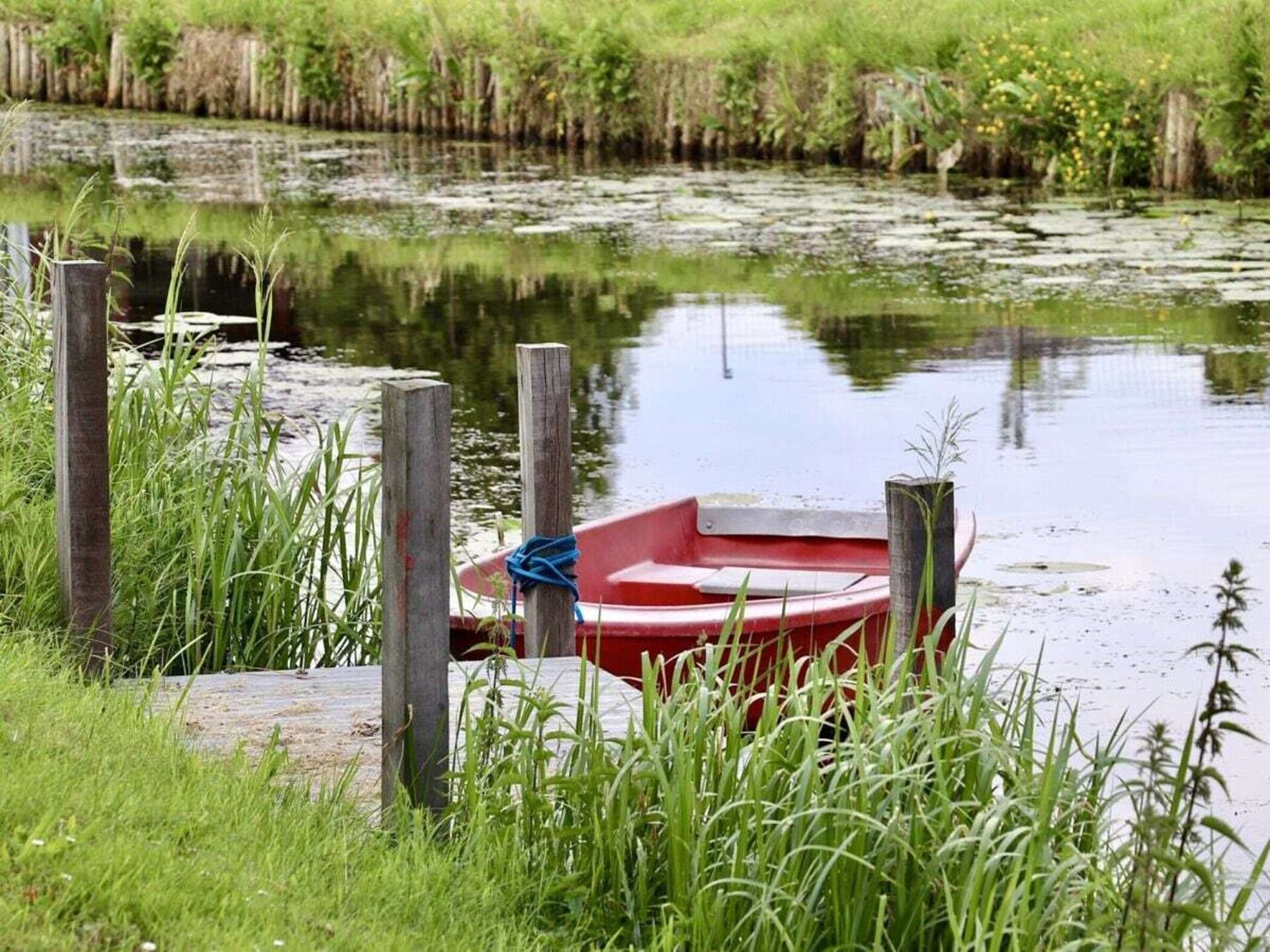 Vakantiehuis An't Meede: 4 pers. aan natuurgebied in Großefehn - foto 19