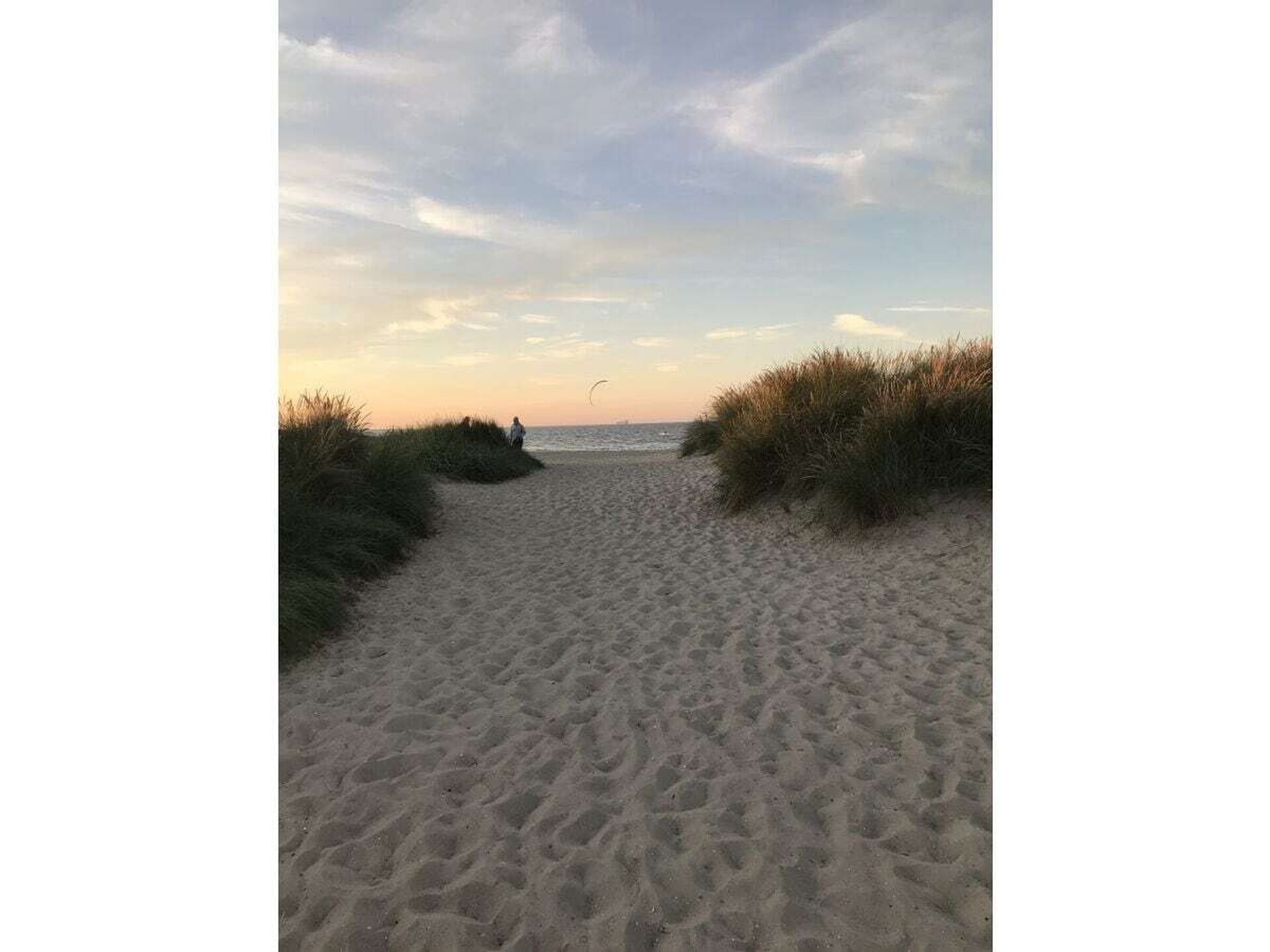 Ruim vakantiehuis met sauna, open haard en uitzicht op zee nabij Schillig - foto 25