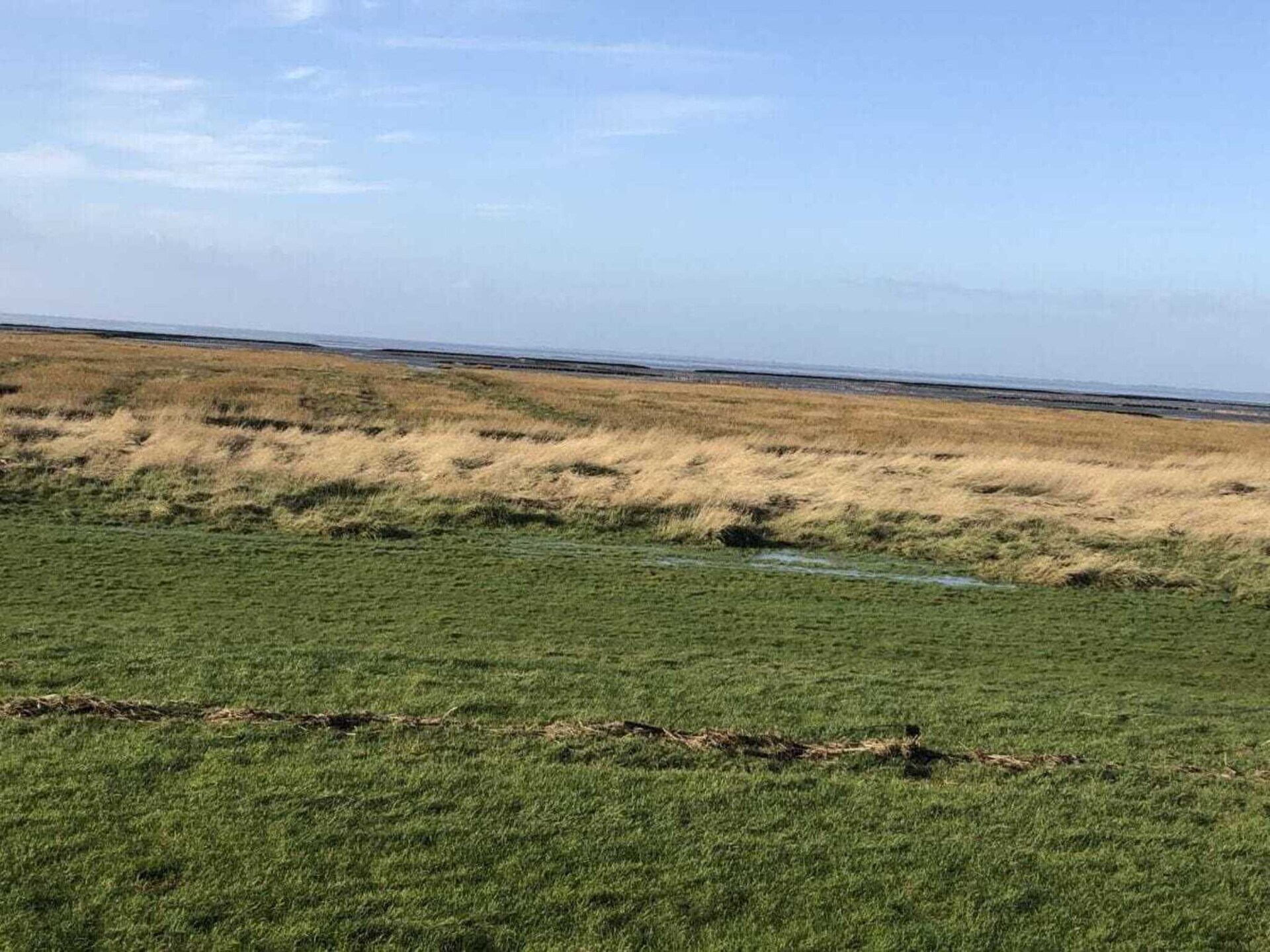 Knus Scandinavisch vakantiehuis met sauna, 200 meter van de Noordzee - foto 14