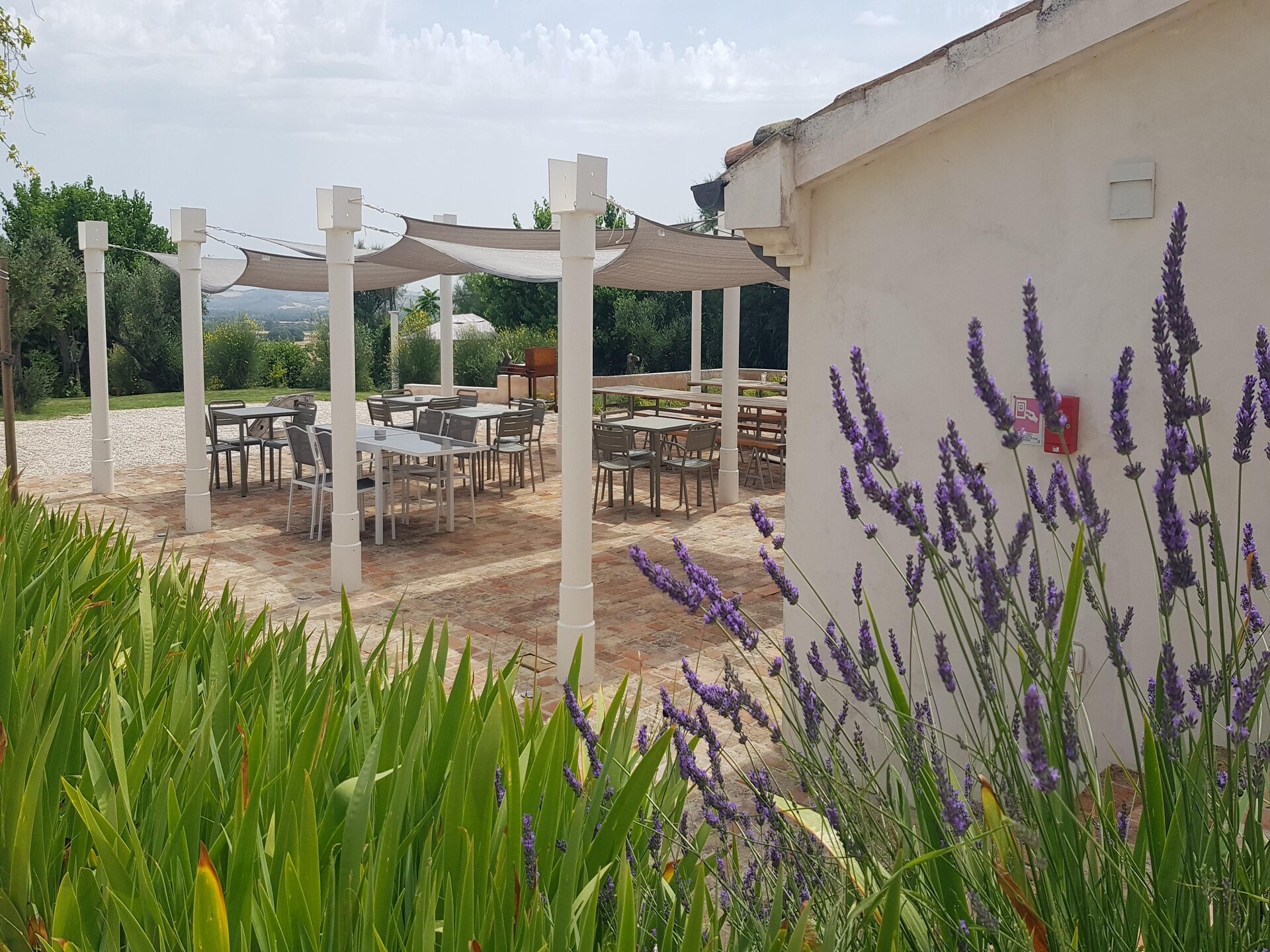 Villa Gelso in Monsano met privézwembad voor 6 personen - foto 19