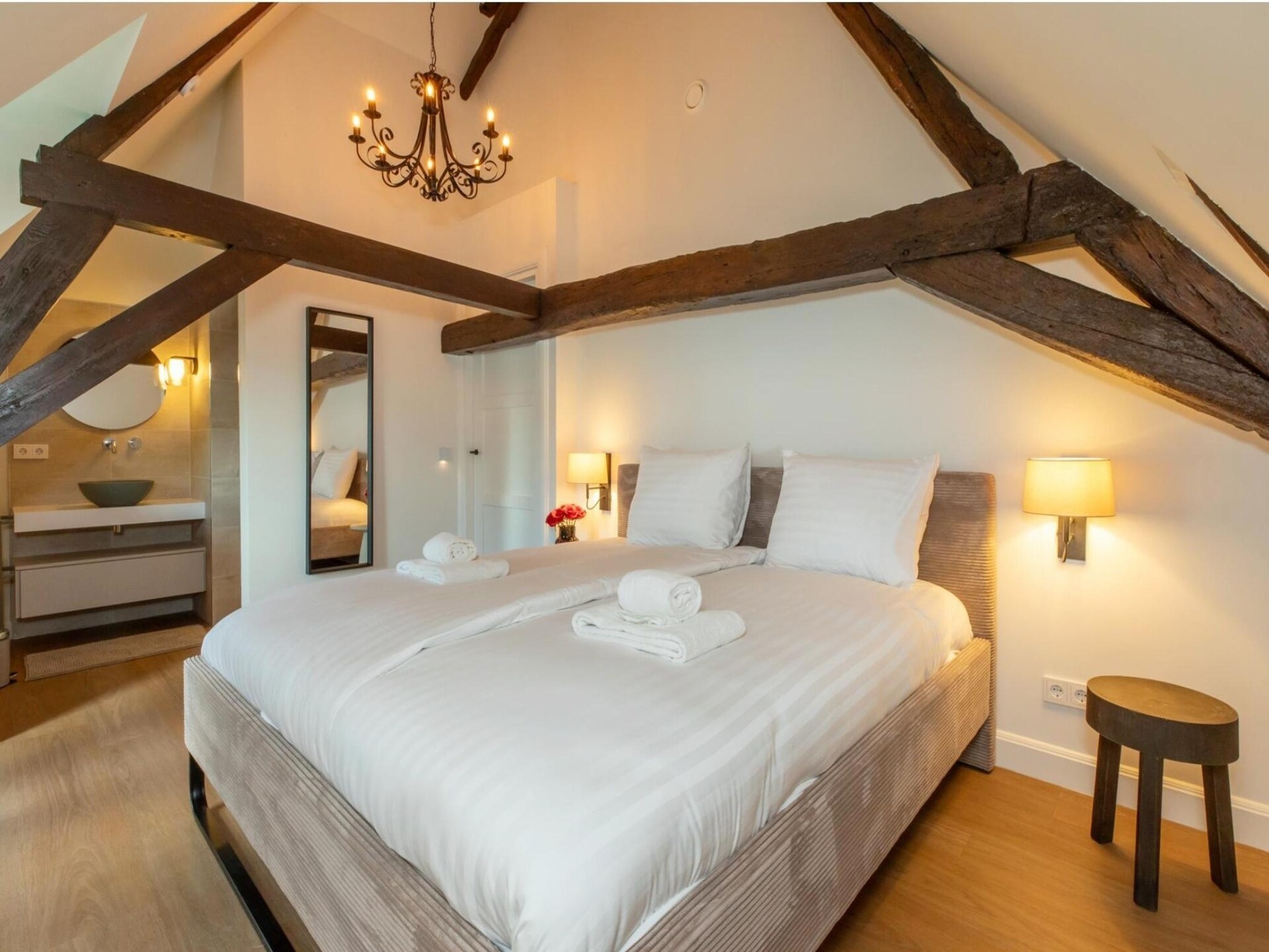 Luxe 16e-eeuwse boerderij met uitzicht op windmolen in Heinkenszand - foto 4