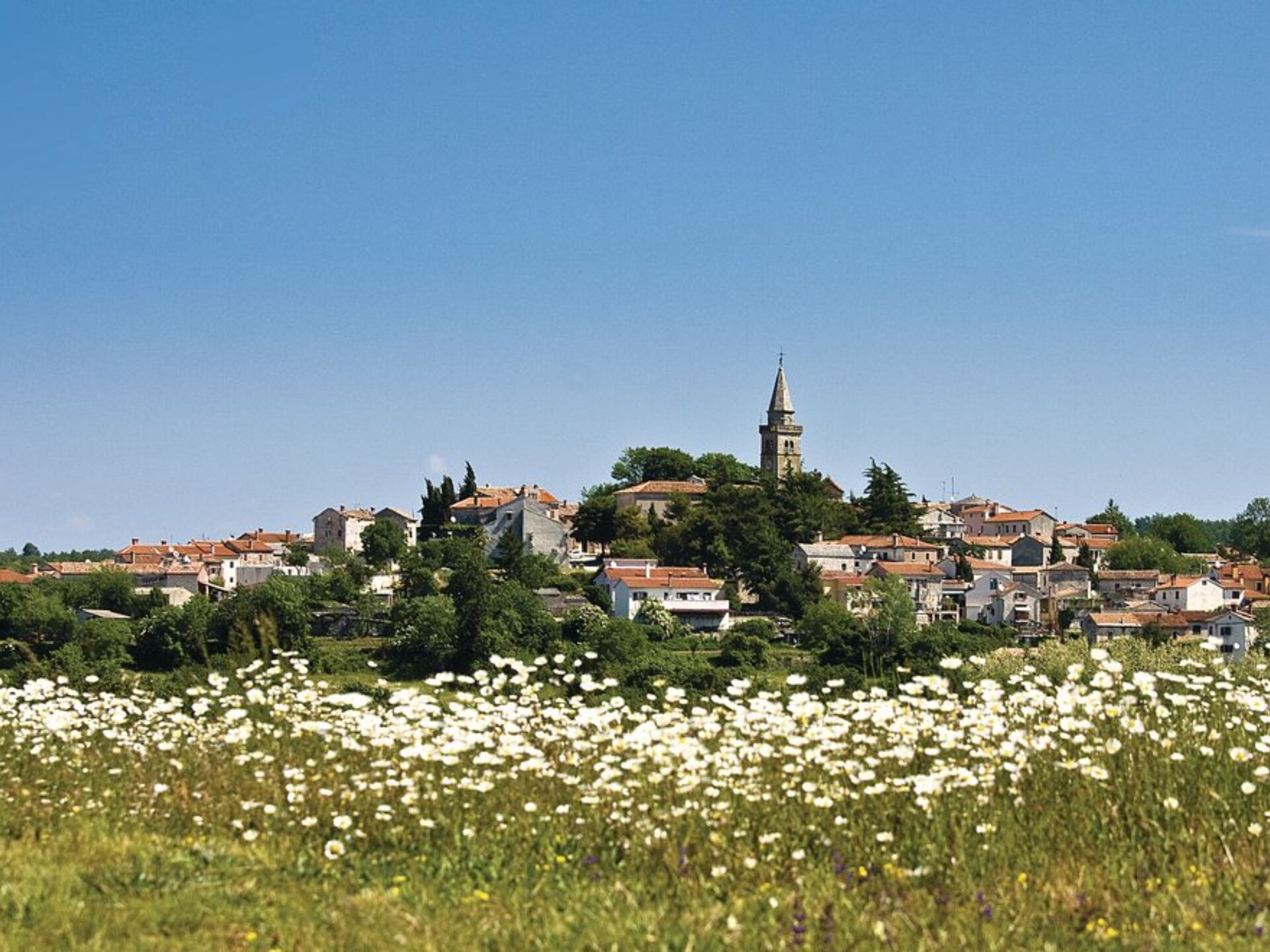 Ruim vakantiehuis met privézwembad in Gracisce, Istrië - foto 27