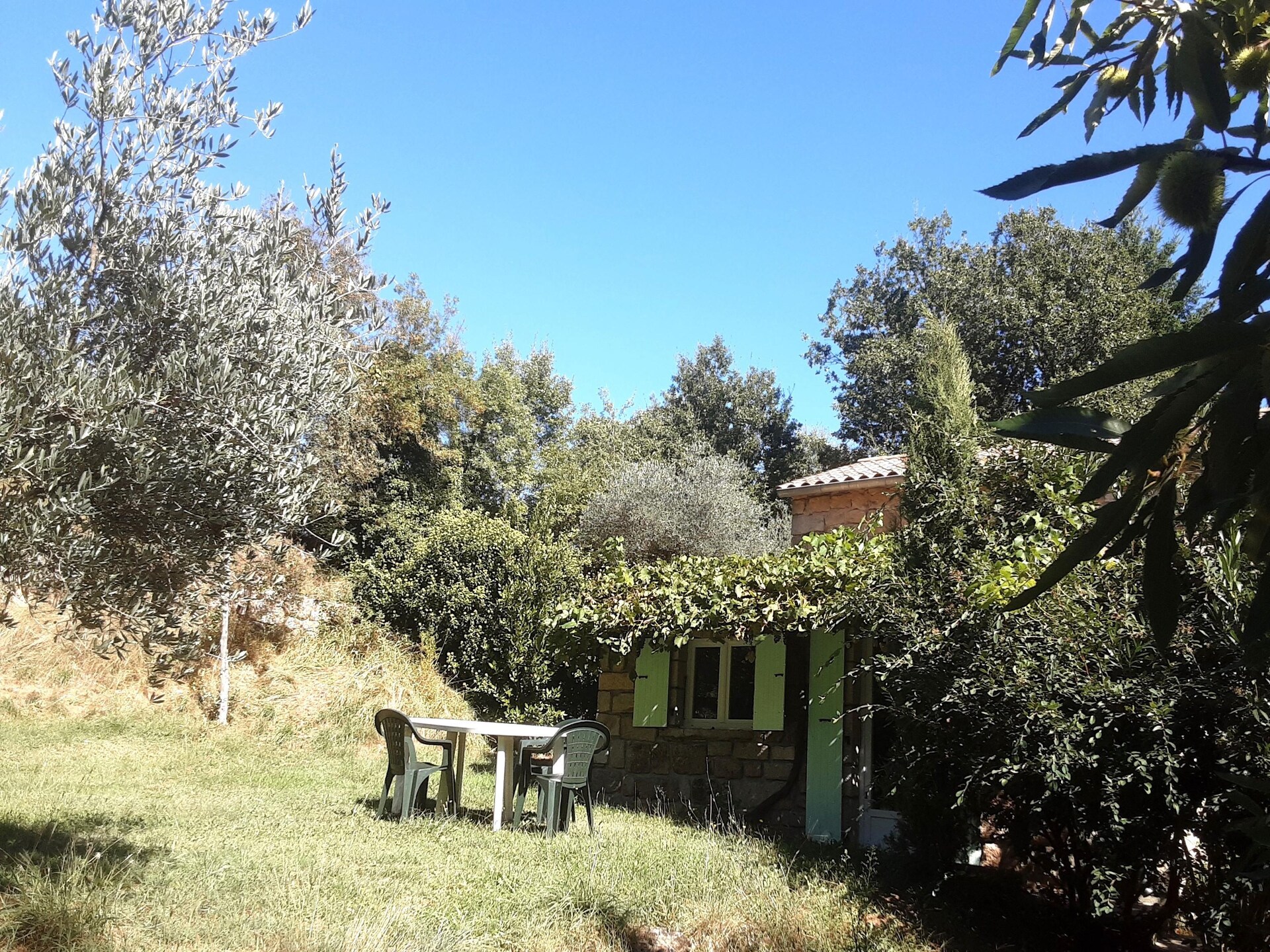 Steinhaus in Chambonas / Les Cèdres - foto 7
