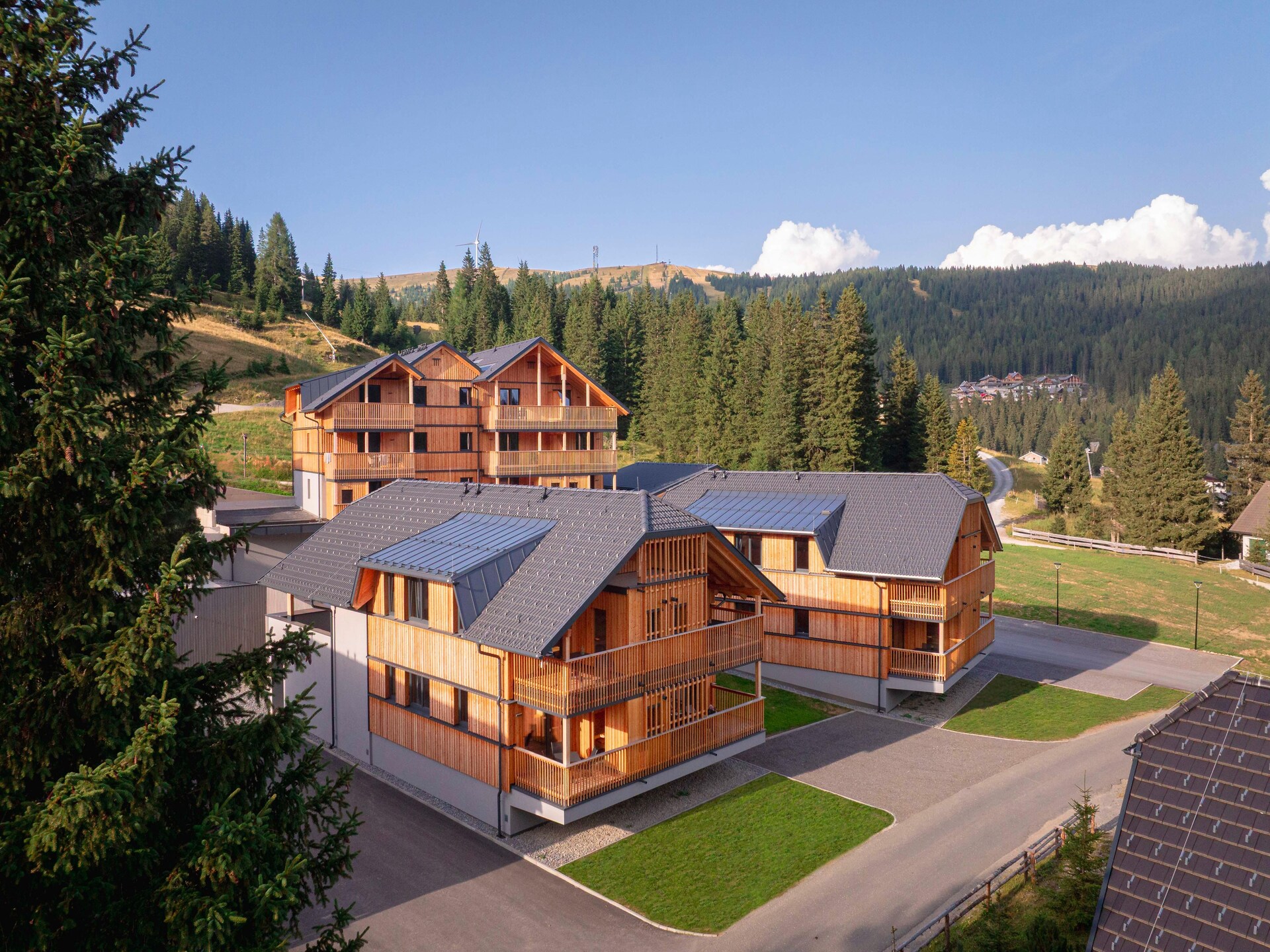 Ruim appartement in Lachtal met privésauna en piste-uitzicht · 6 pers. - foto 3