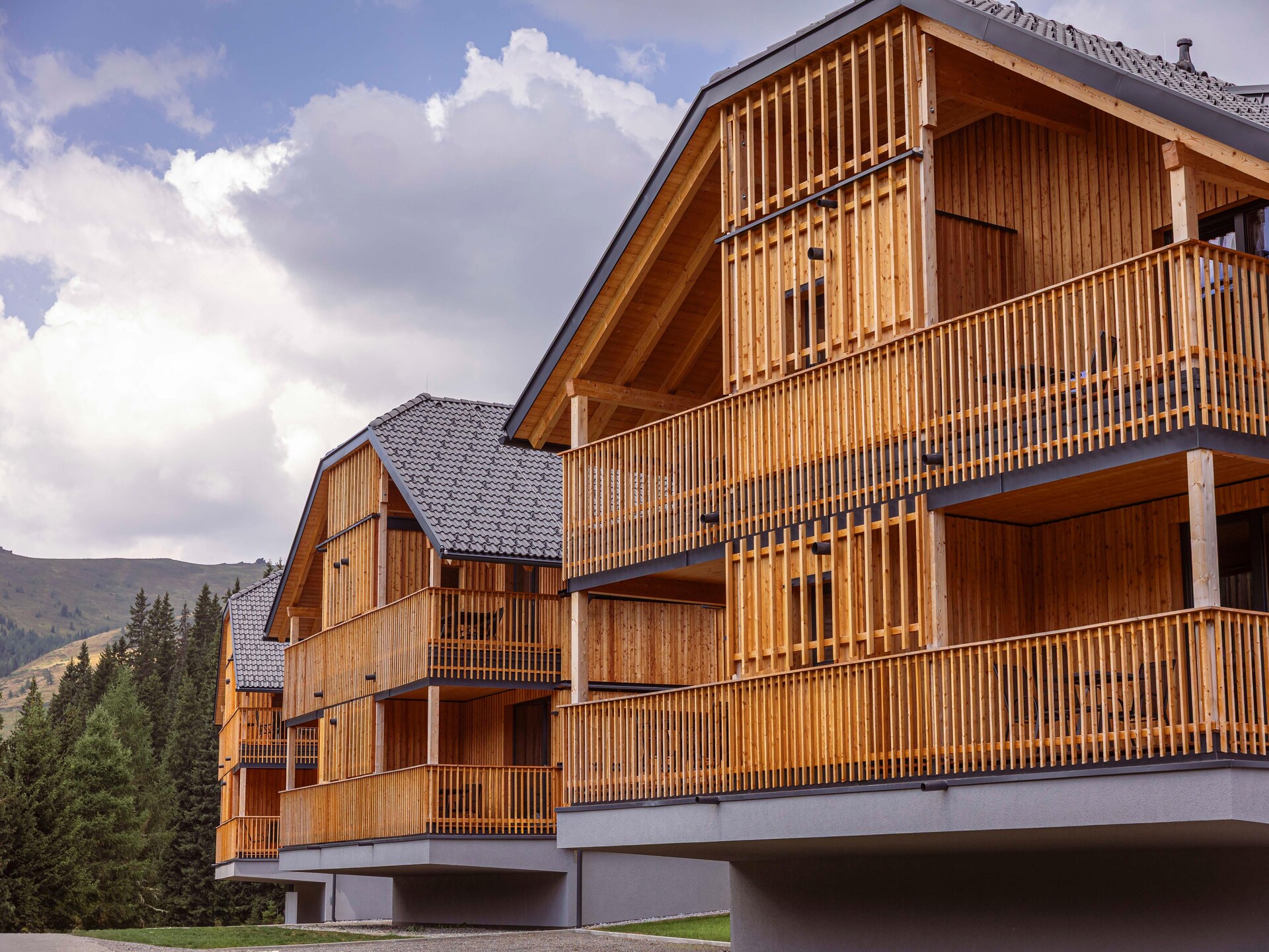 Ruim appartement in Lachtal met privésauna en piste-uitzicht · 6 pers. - foto 4