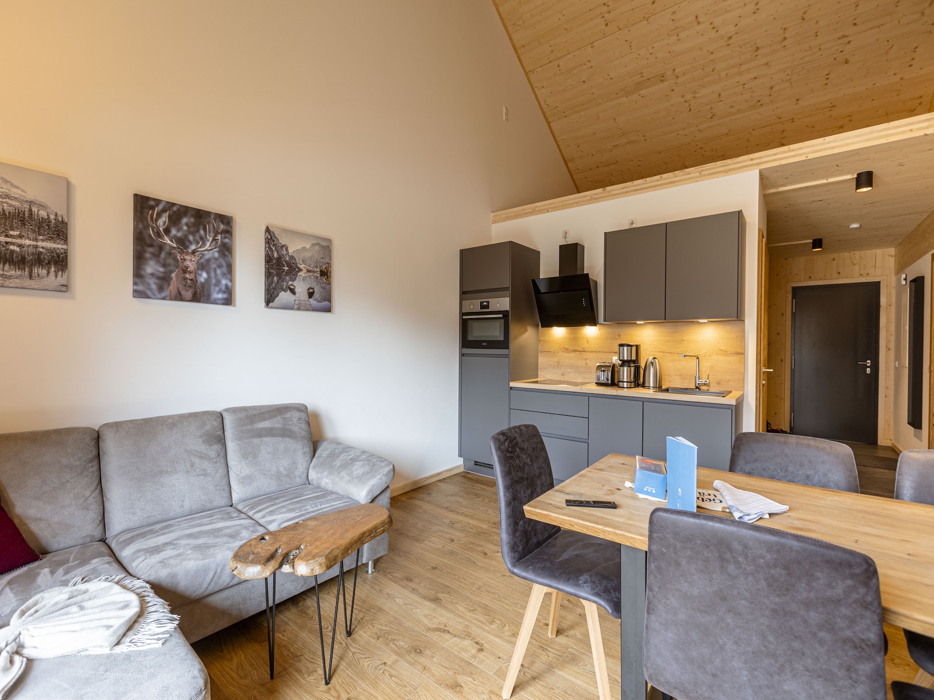 Ruim appartement in Lachtal met privésauna en uitzicht op de piste - foto 8