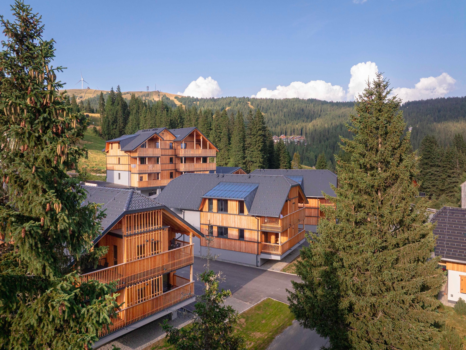 Ruim appartement in Lachtal met privésauna en uitzicht op de piste - foto 2