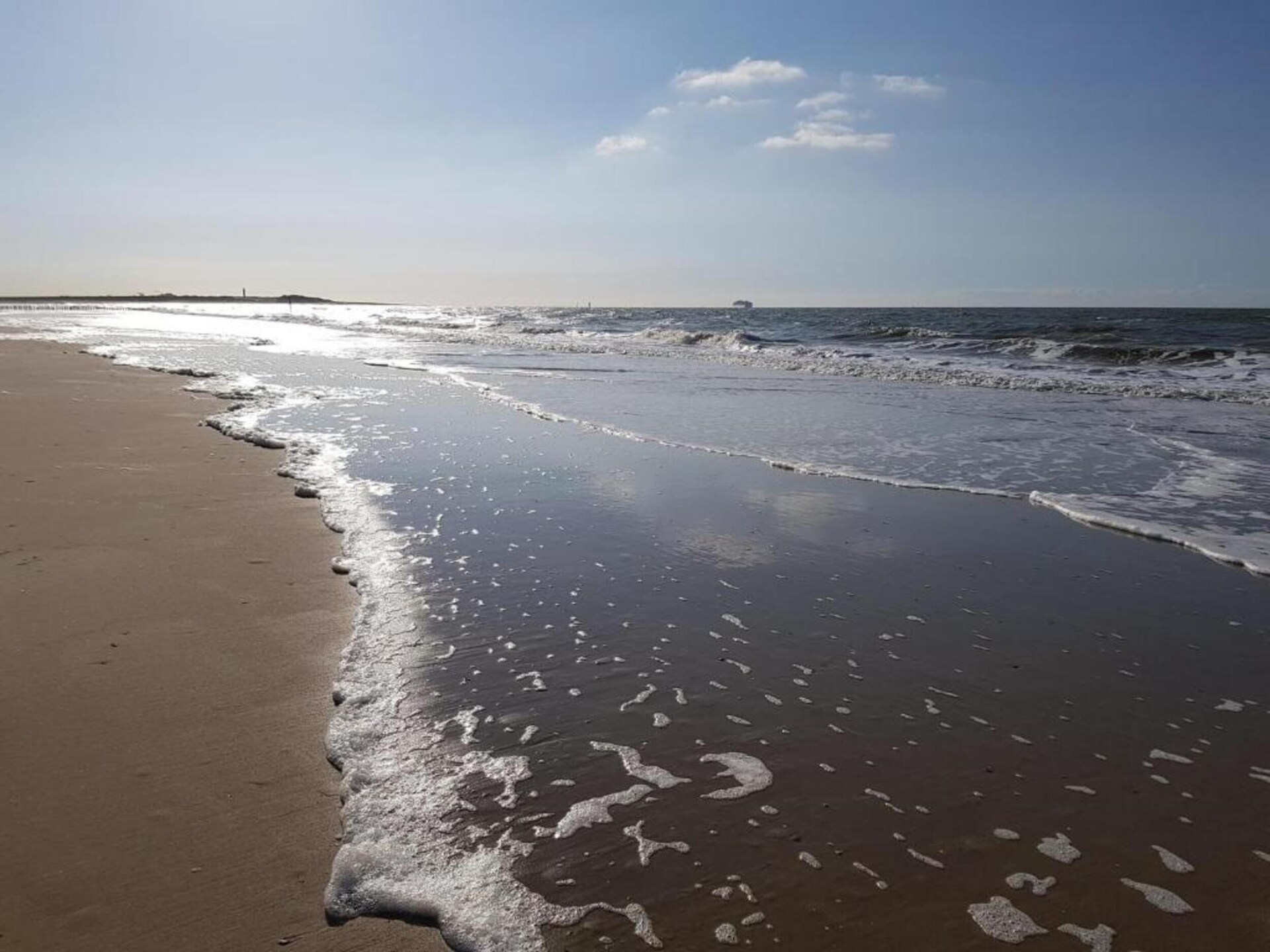 Het Platte Putje nr 2: Knus appartement met tuin, 3,6km van strand, huisdieren welkom - foto 34
